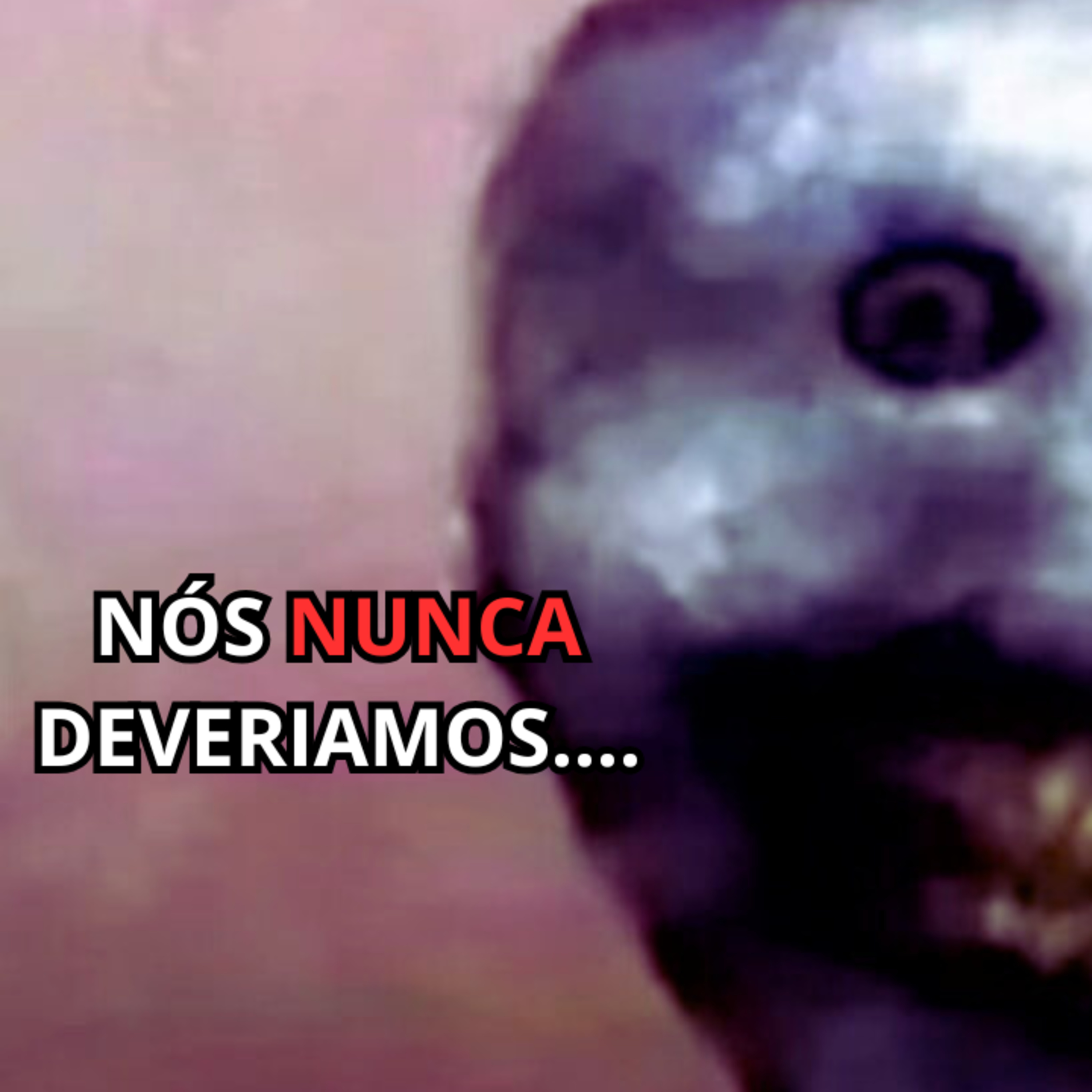 Algo nos SEGUIU até o ACAMPAMENTO...