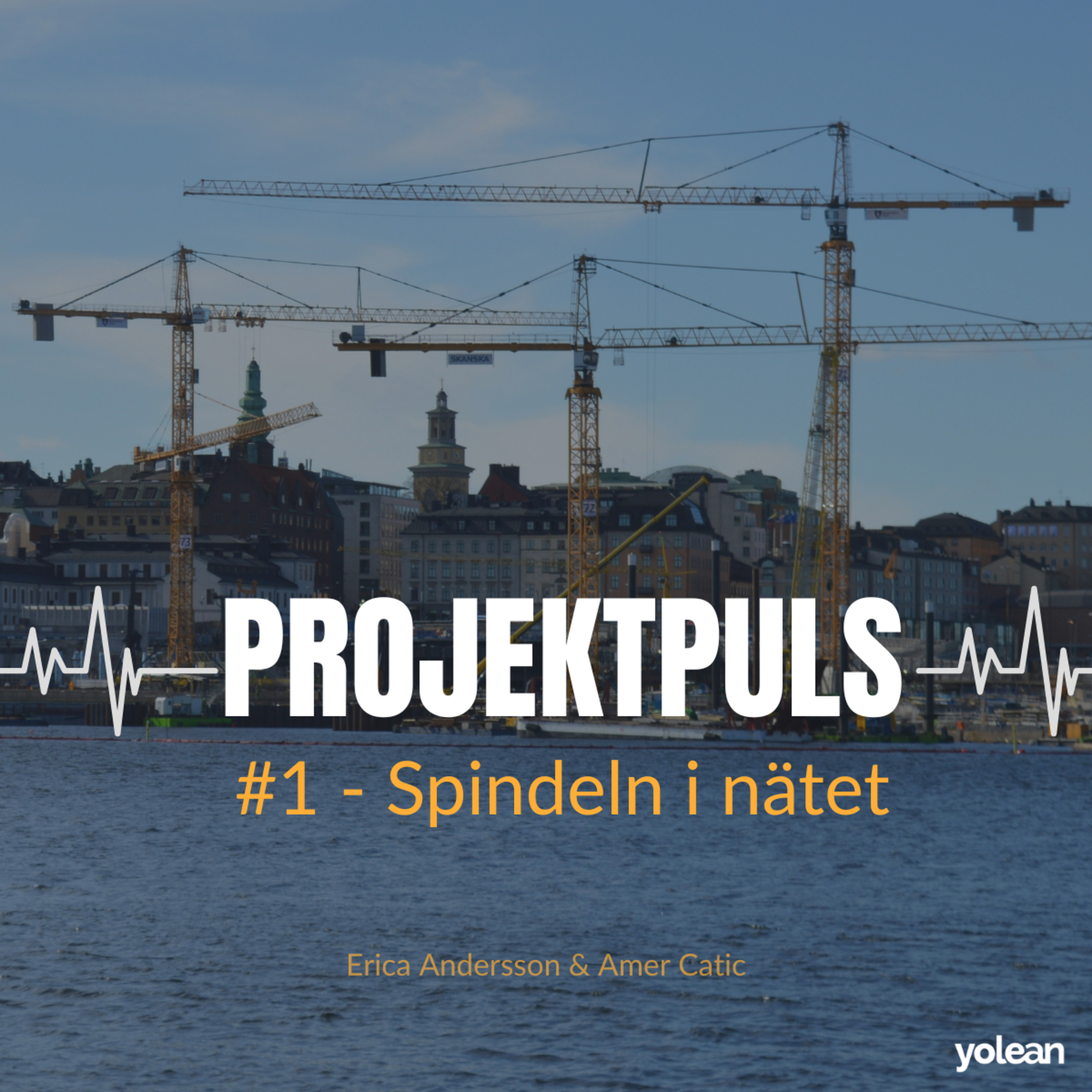Spindeln i nätet episode artwork