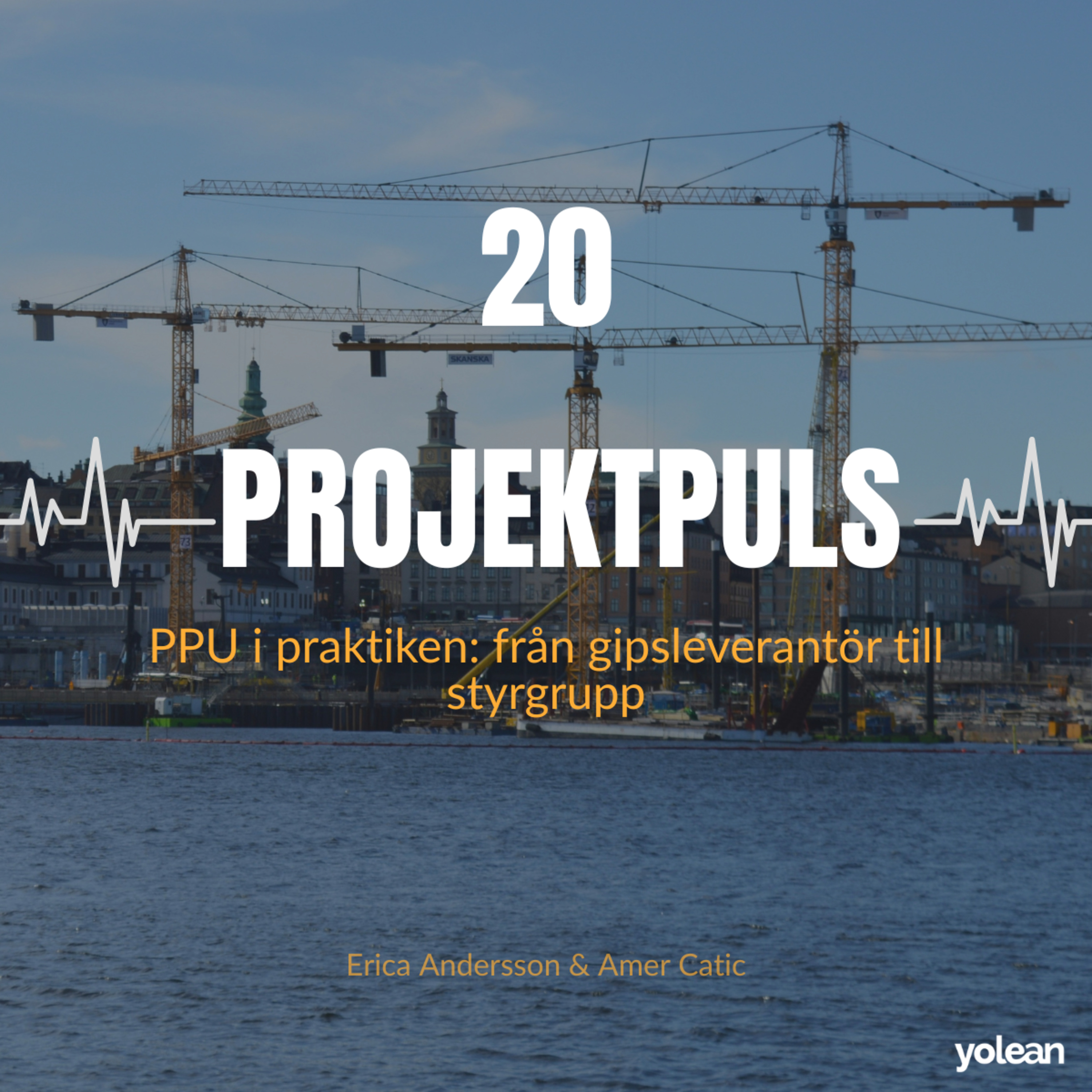 PPU i praktiken: från gipsleverantör till styrgrupp episode artwork