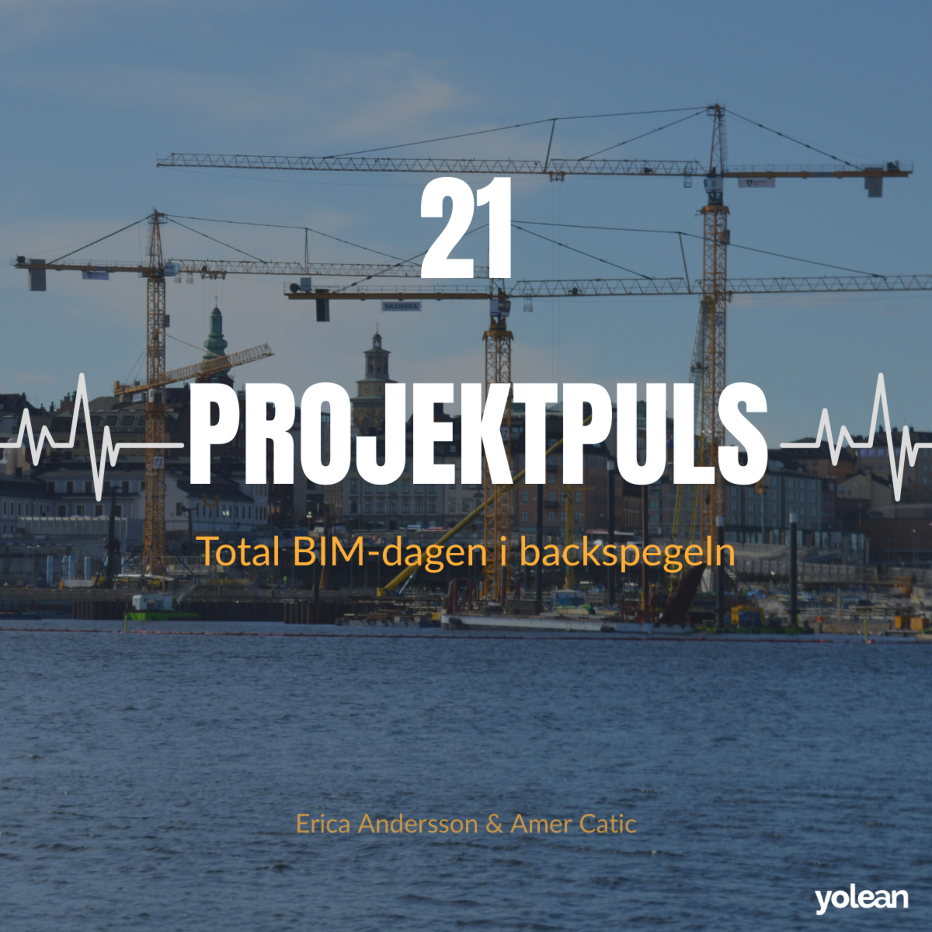 Total BIM-dagen i backspegeln episode artwork