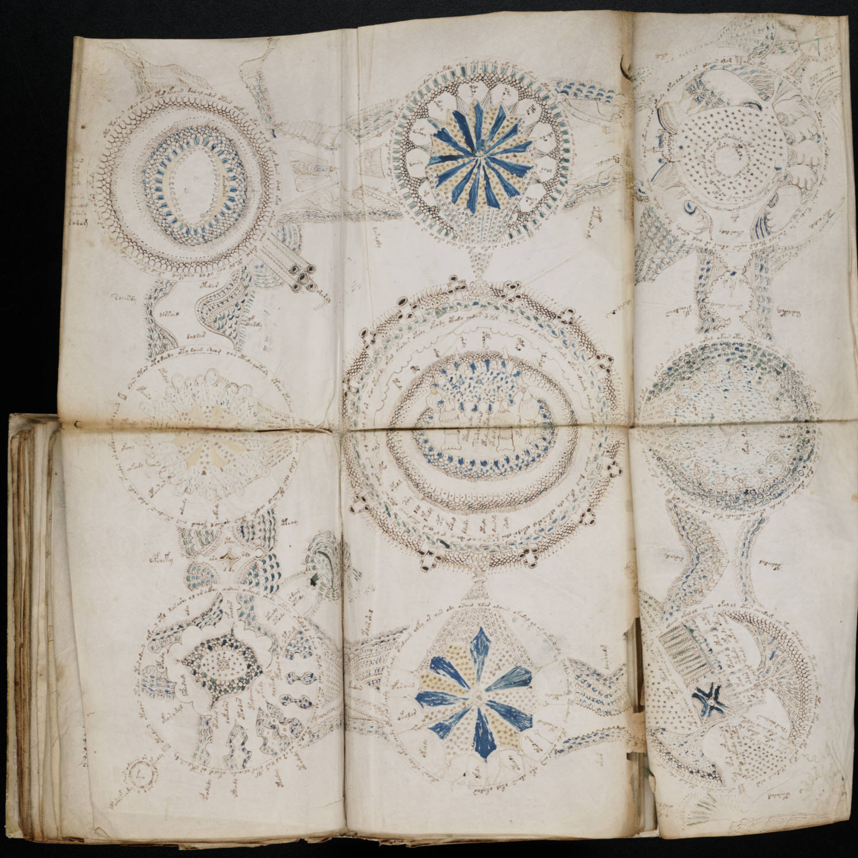 The Voynich Manuscript: The Book No One Can Read episode artwork