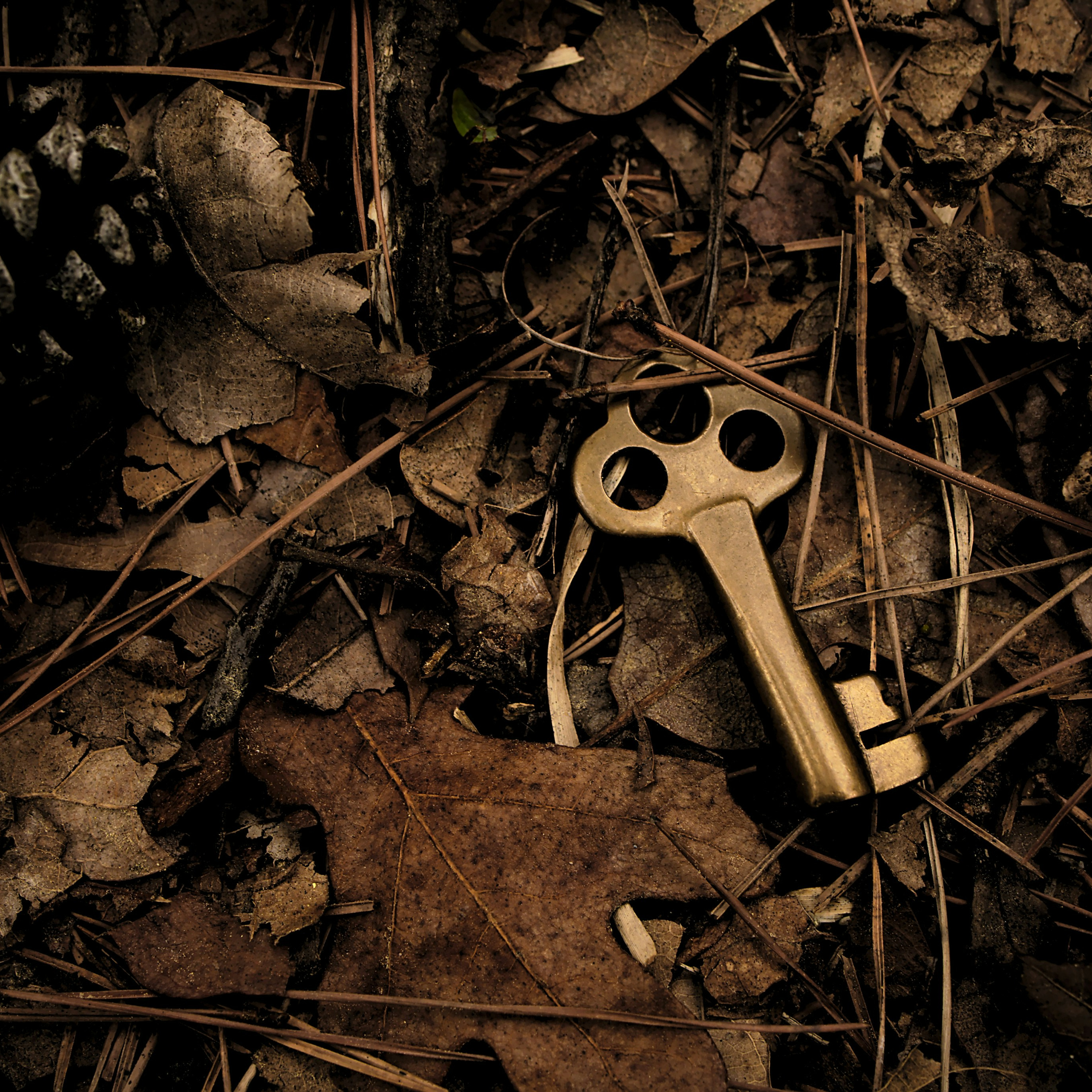 The Master Key: Unlocking the Universe’s Forbidden Truths episode artwork