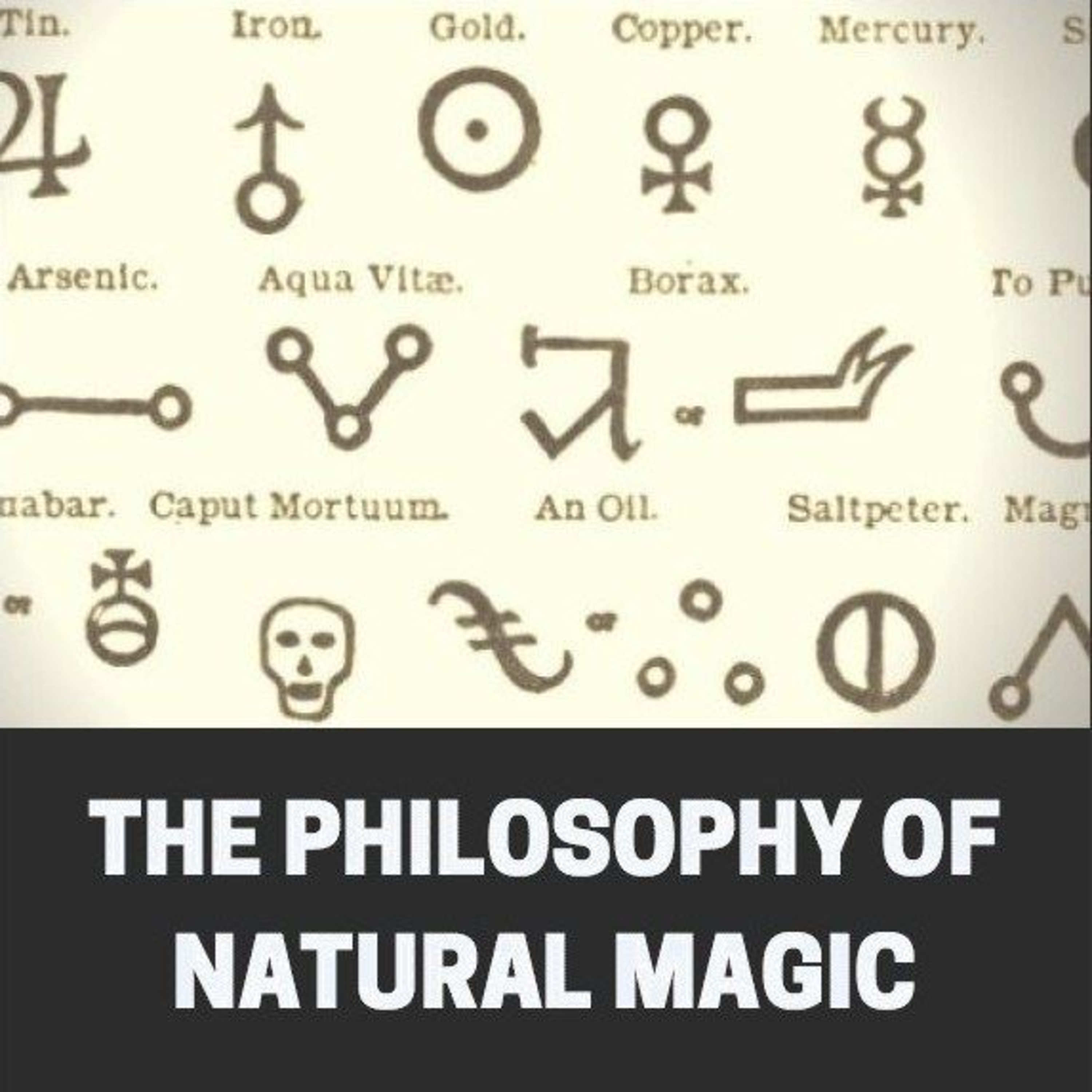 Agrippa’s Arcana: The Power and Philosophy of Natural Magic episode artwork