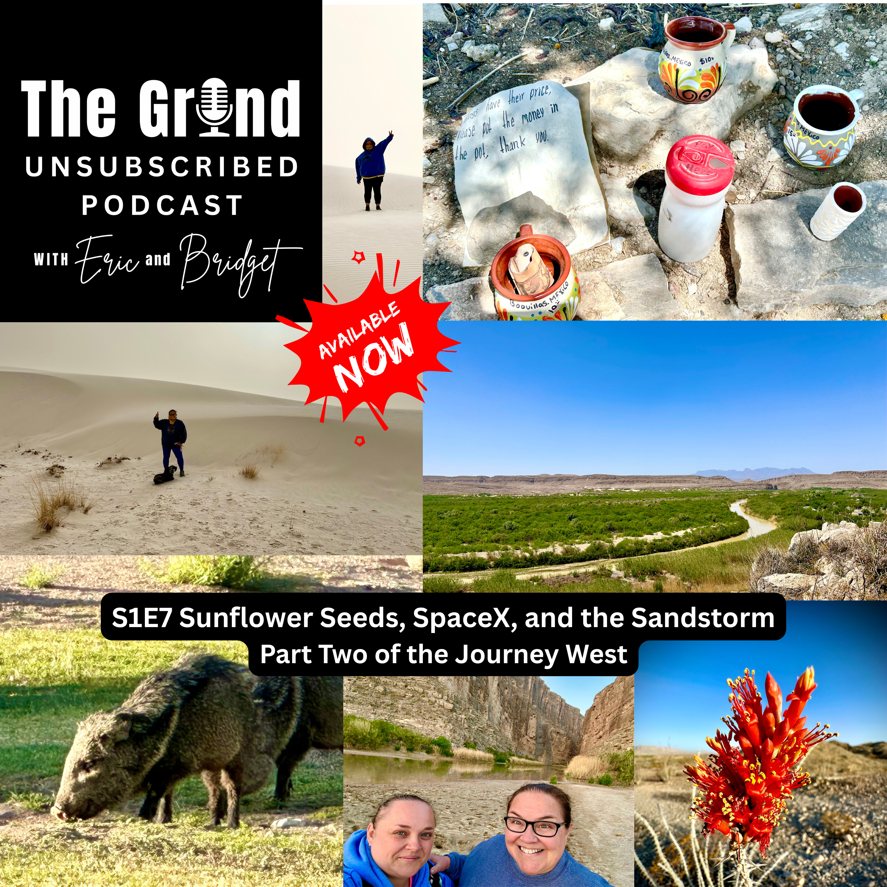 The Grind - Unsubscribed