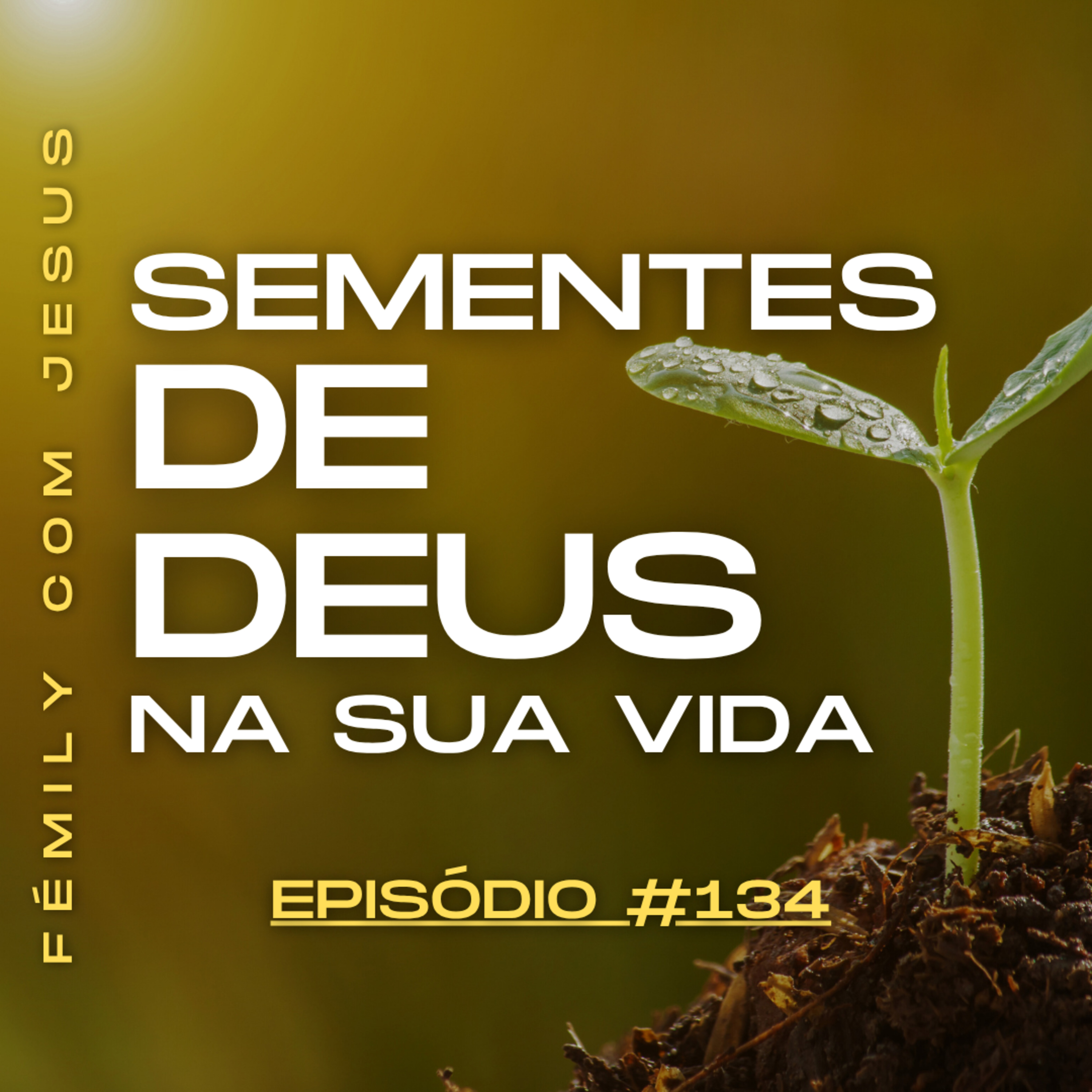 FÉmily com Jesus #134 - Os 3 Segredos das Sementes de Deus  episode artwork