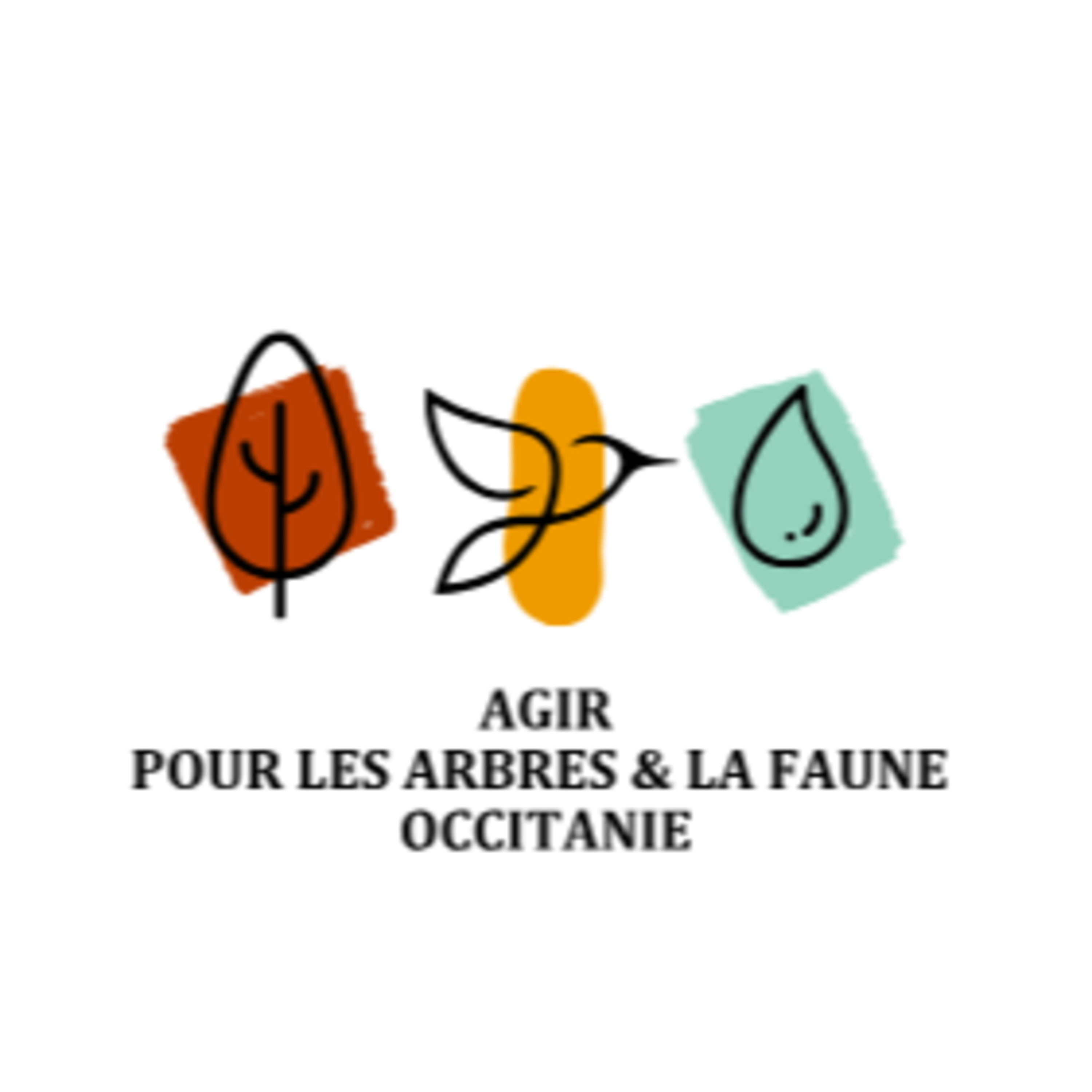 Soutenir et comprendre le vivant avec une association de protection de la faune et des arbres ( PODCASTHON 2026 ) episode artwork