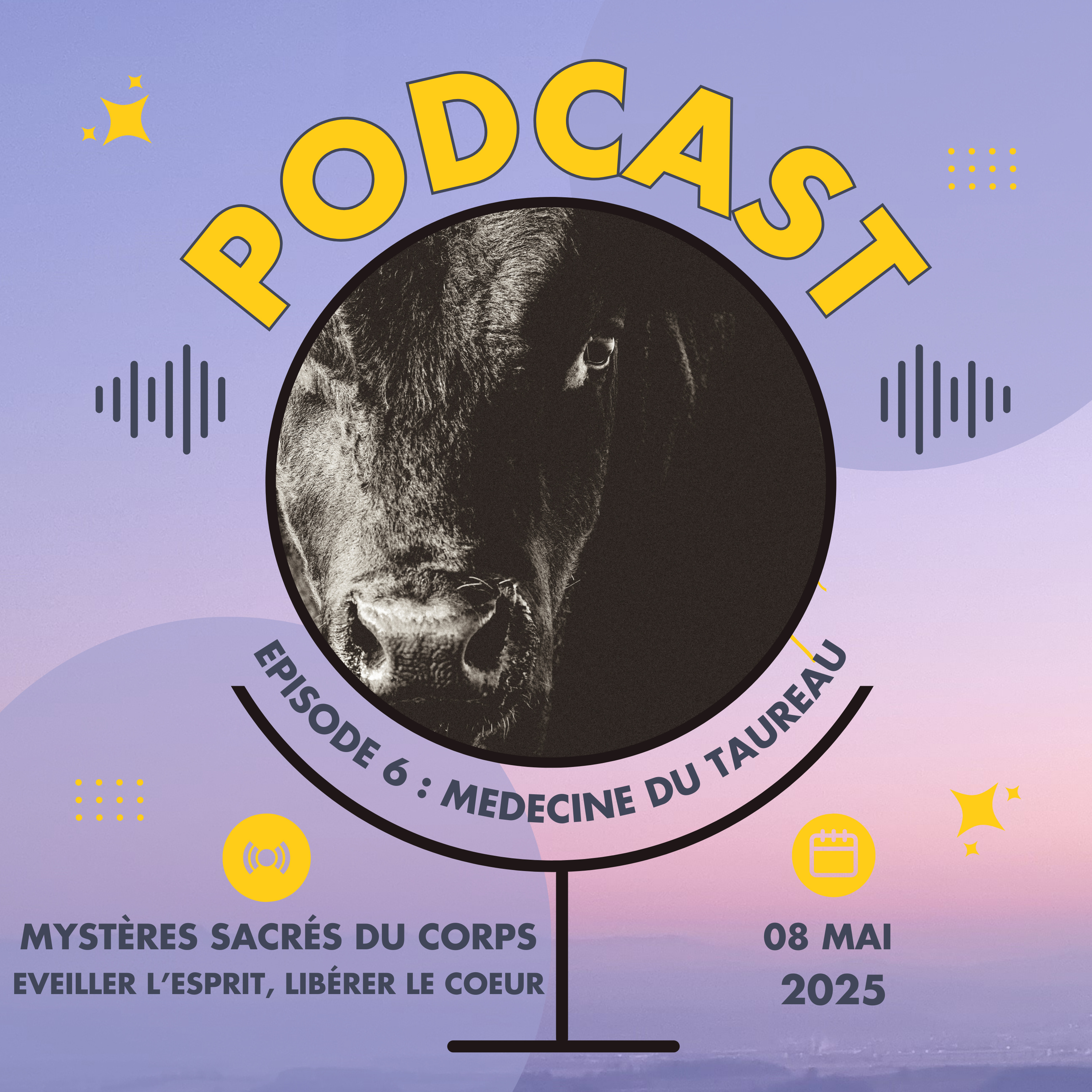 06 - Médecine du Taureau episode artwork