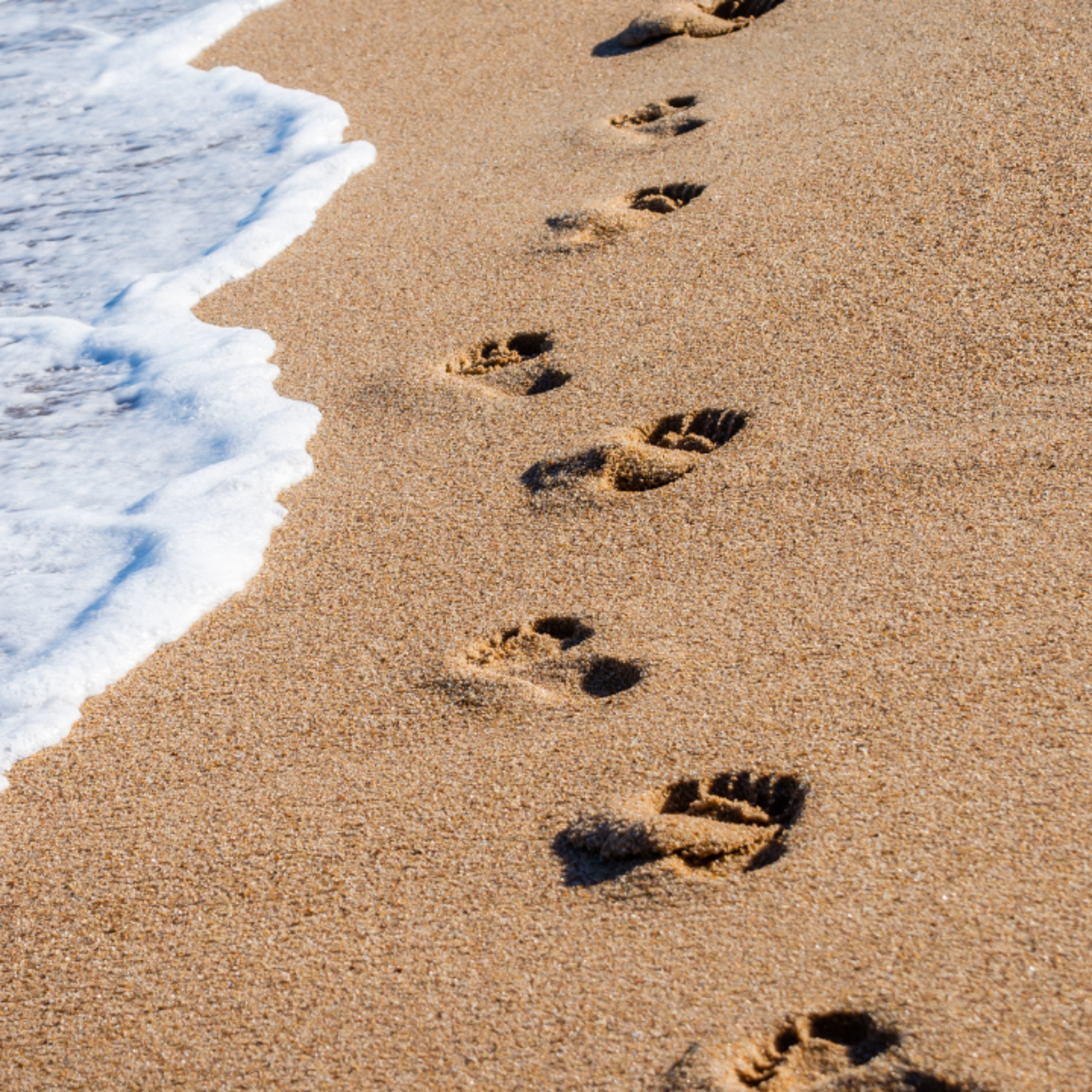 What is a Worthy Walk? - Ephesians 4:1-5:21 episode artwork