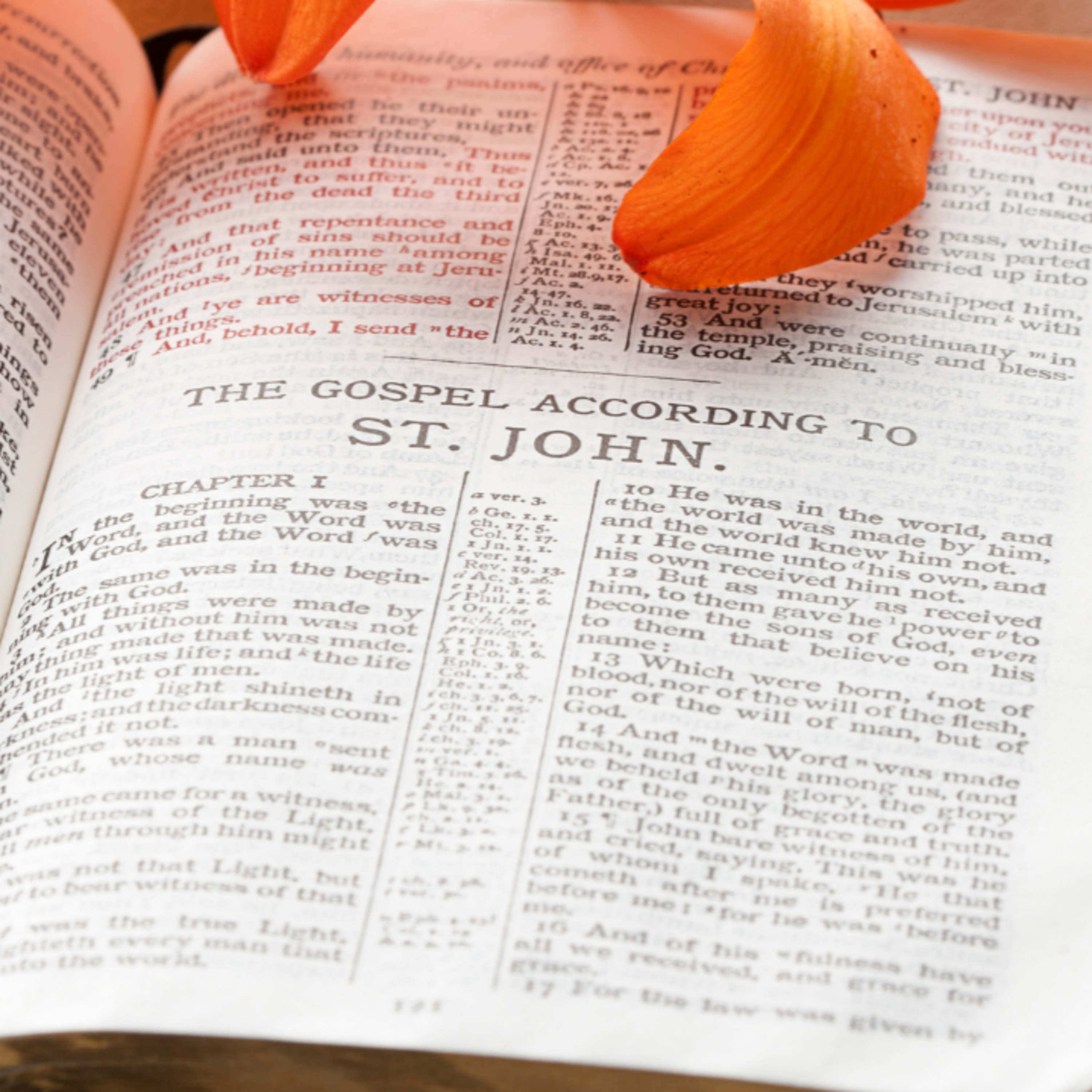 Do You Believe Jesus? - John 3:31-36 episode artwork