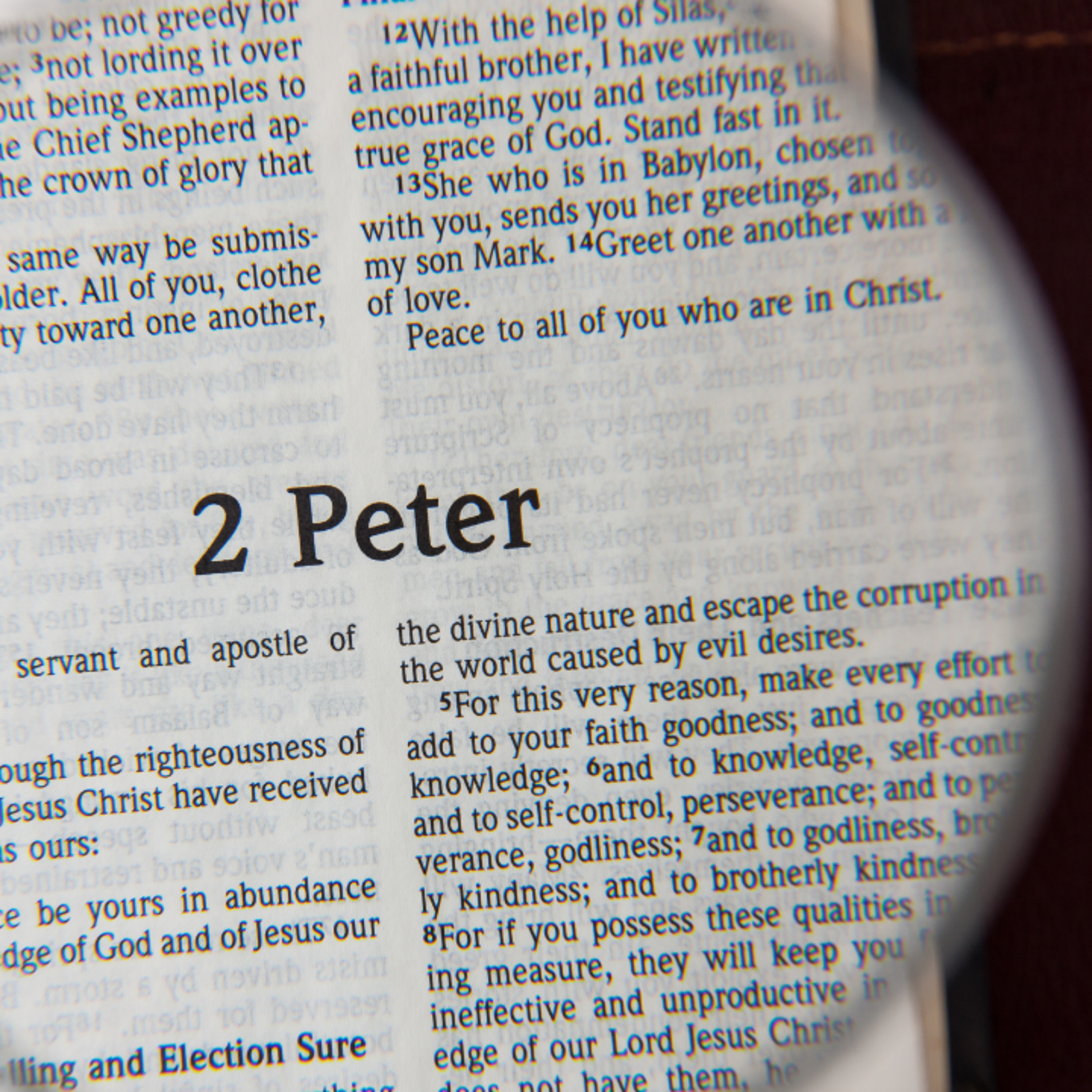 How Do We Know Christ is Returning? - 2 Peter 1:16-21 episode artwork