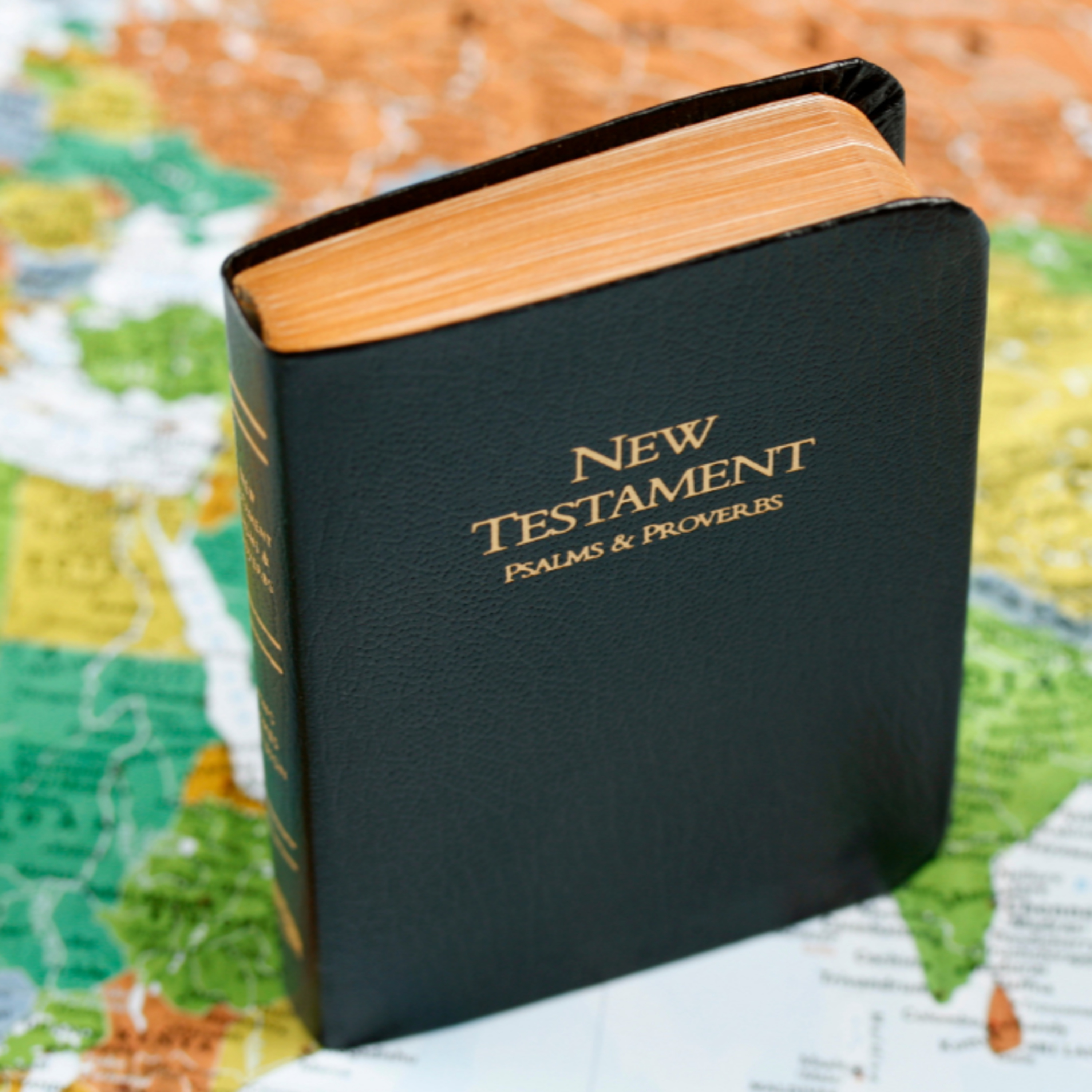 The partnership in Missions - Philippians 1:1-8 episode artwork