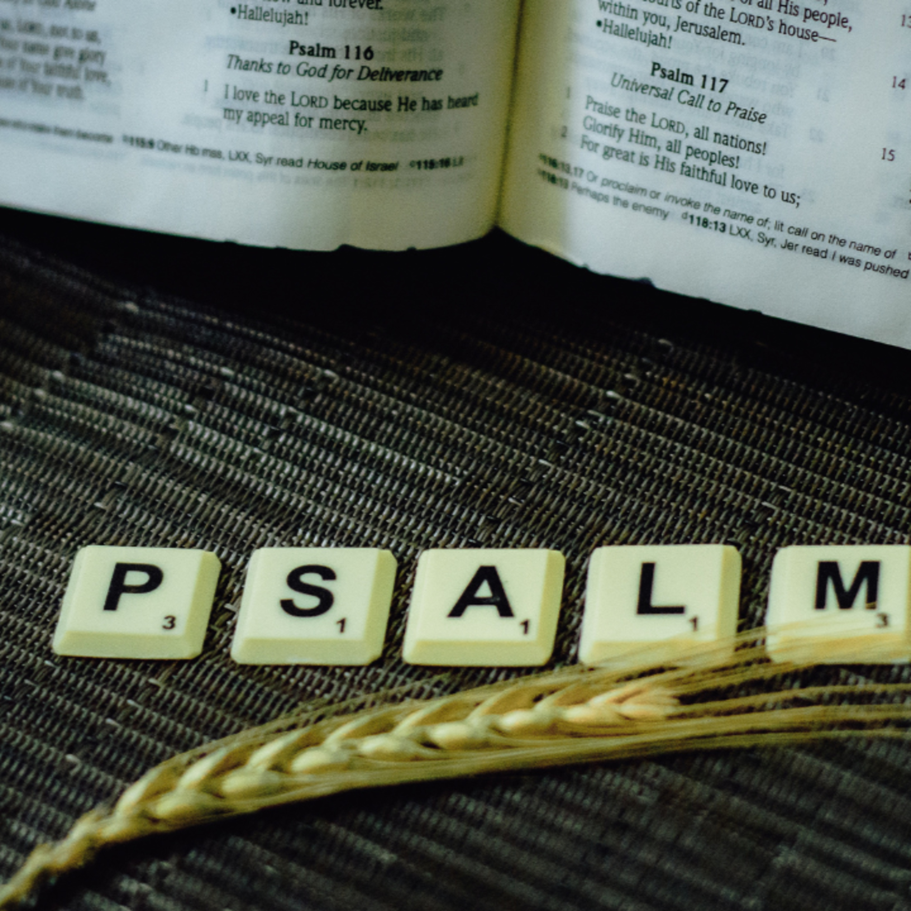 Psalm 46 episode artwork