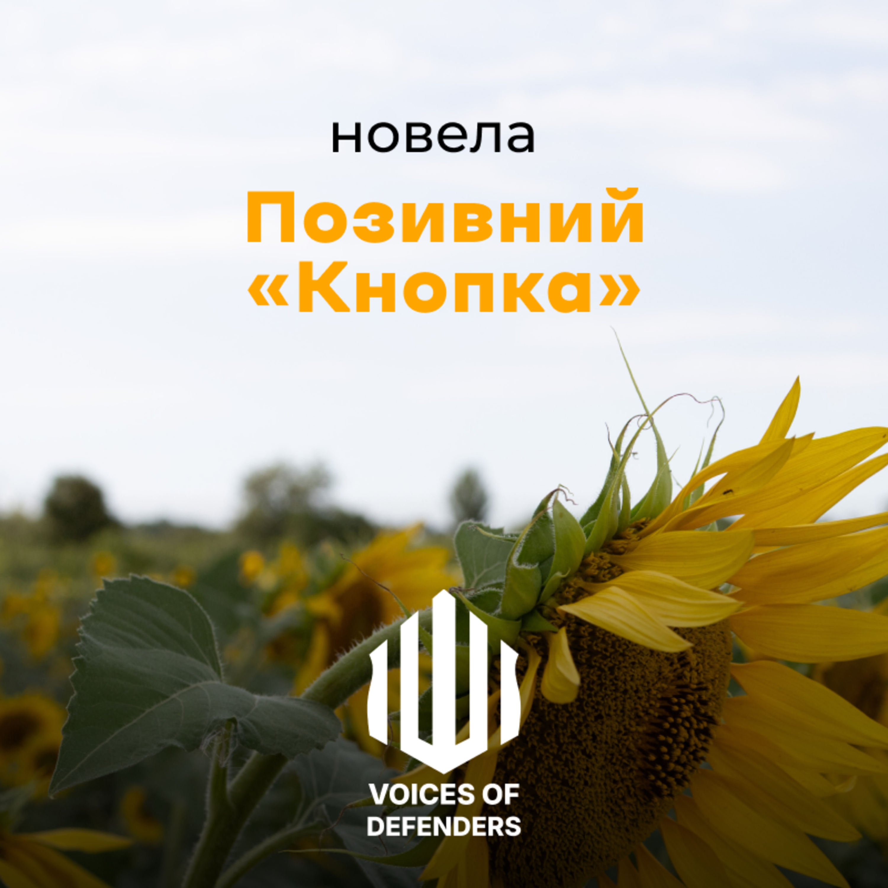 Ірина Васечко “Позивний Кнопка” (читає Руслана Данілкіна) episode artwork
