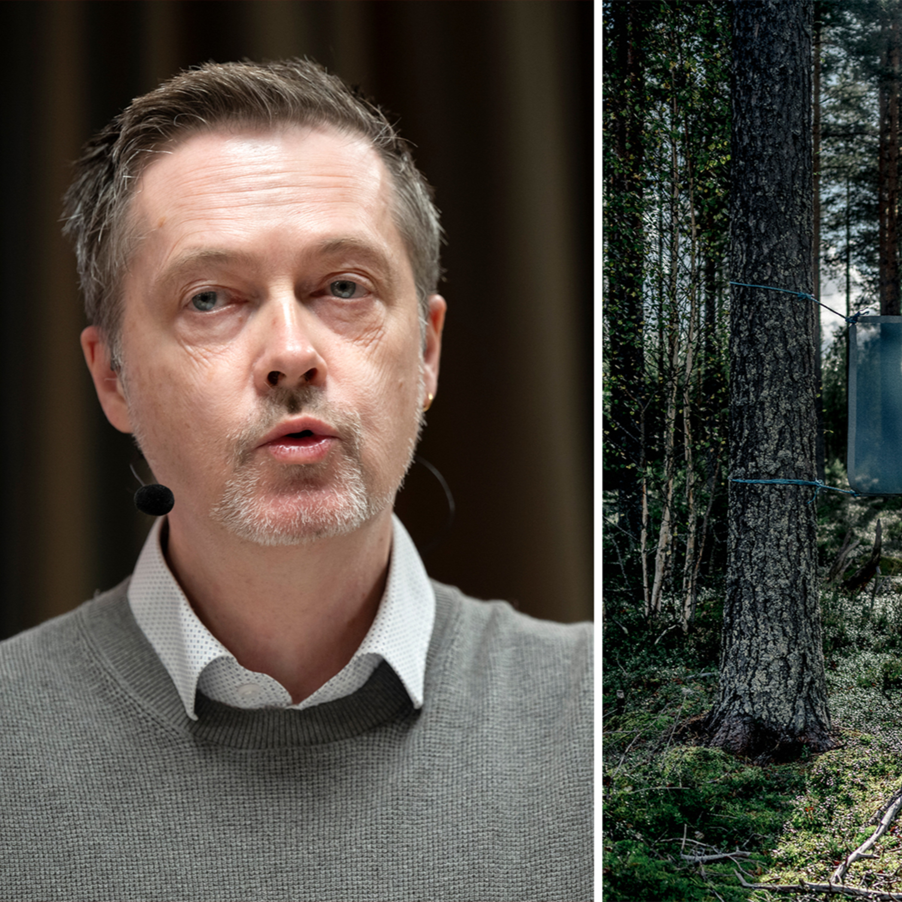 Fackets uppmaning till SCA och Holmen: Lämna inte miljöcertifieringen FSC episode artwork