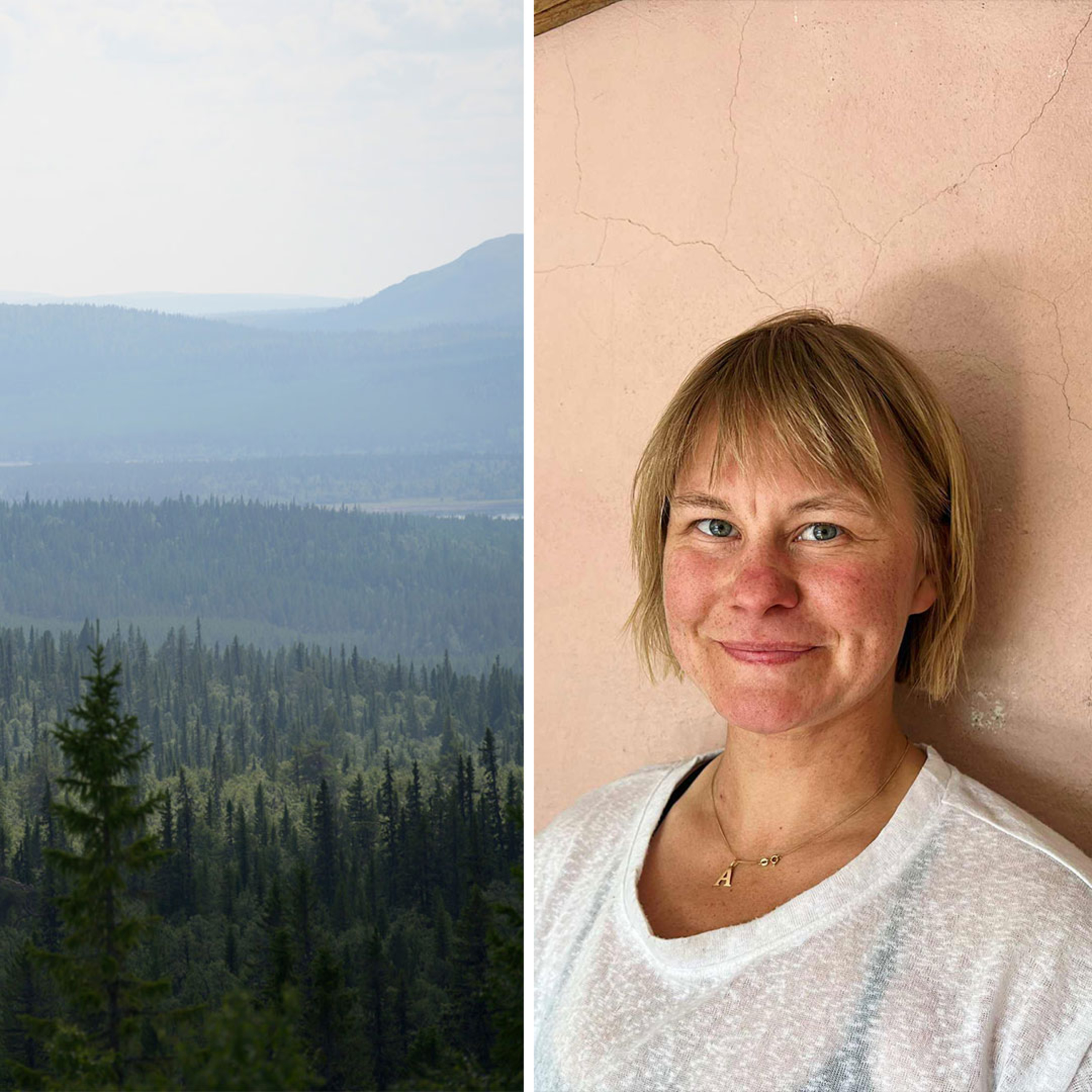 Samebyns konsult slår ifrån sig kritiken rörande FSC: ”Enorm stress och oro” episode artwork