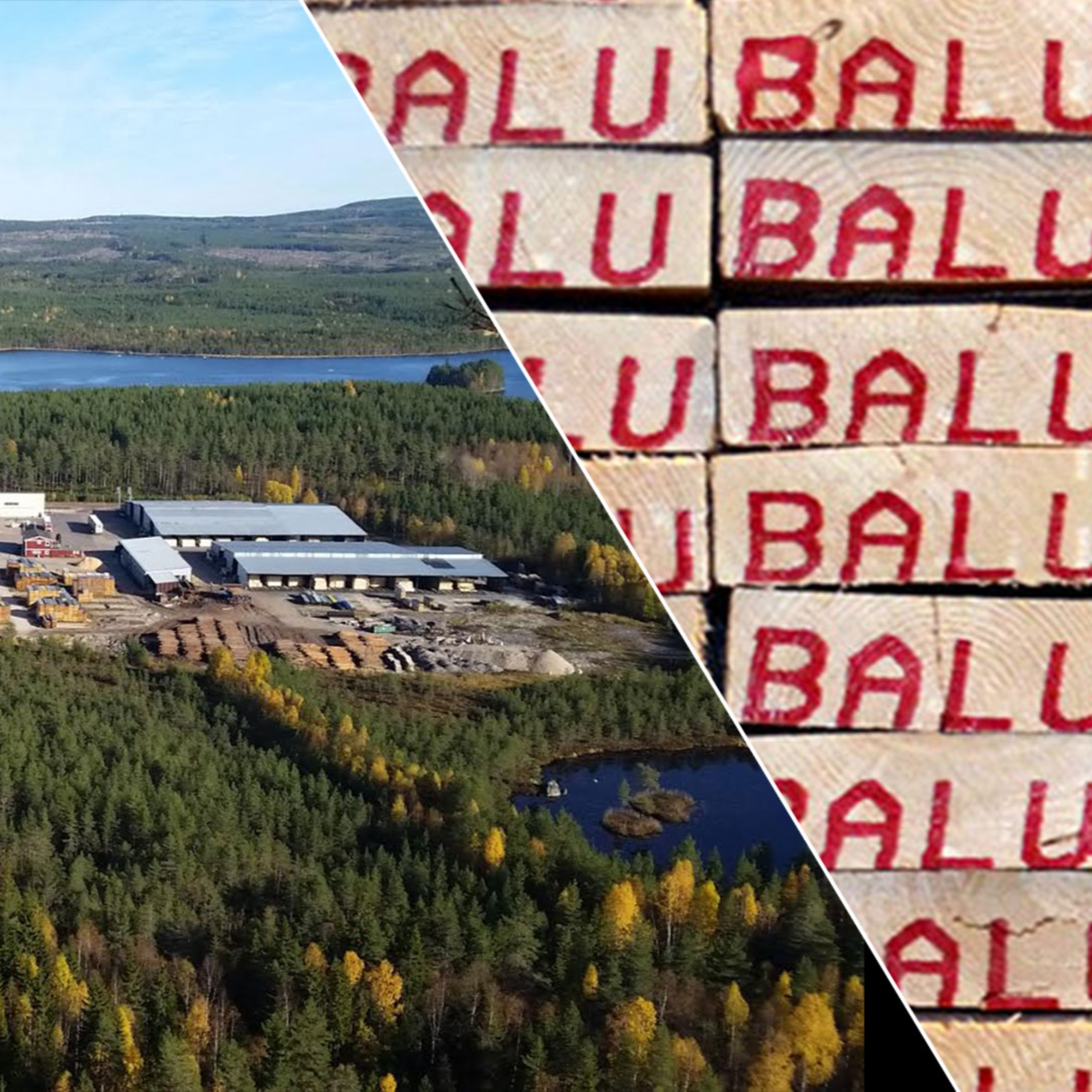 Hälften varslade från såg­verket i Dalarna: ”Fantastiskt tråkigt” episode artwork