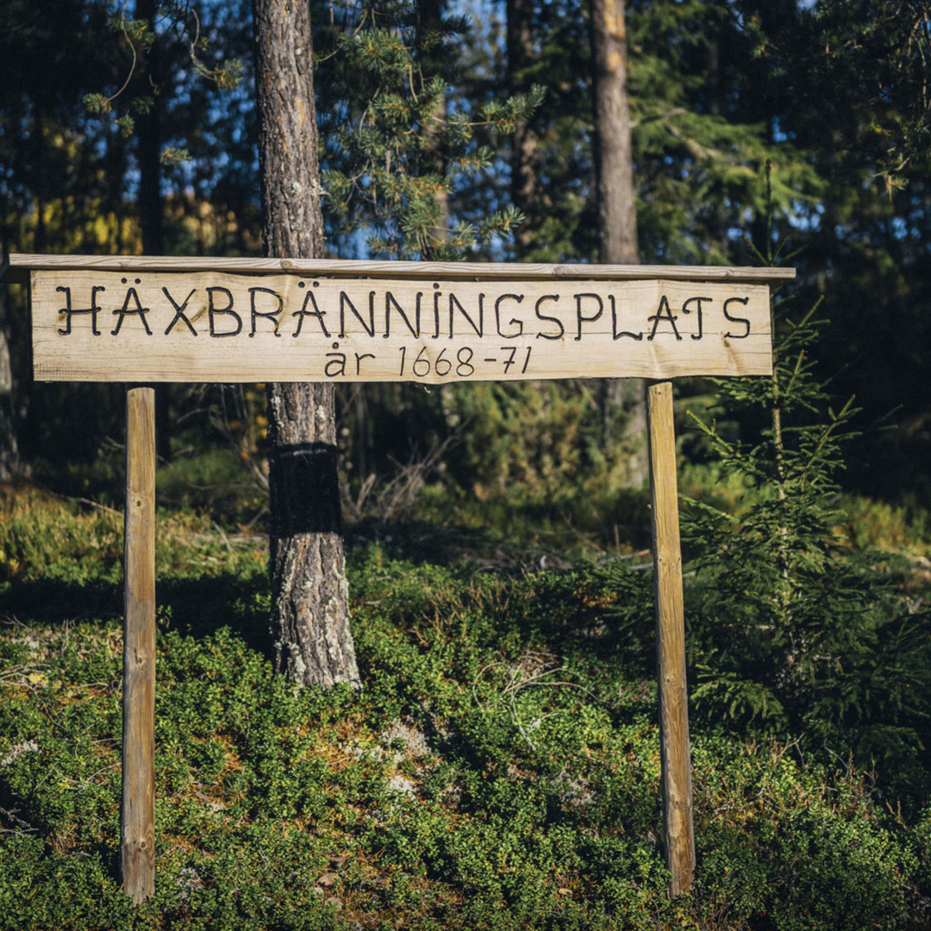 Halshöggs och brändes upp – men släkten lever vidare episode artwork