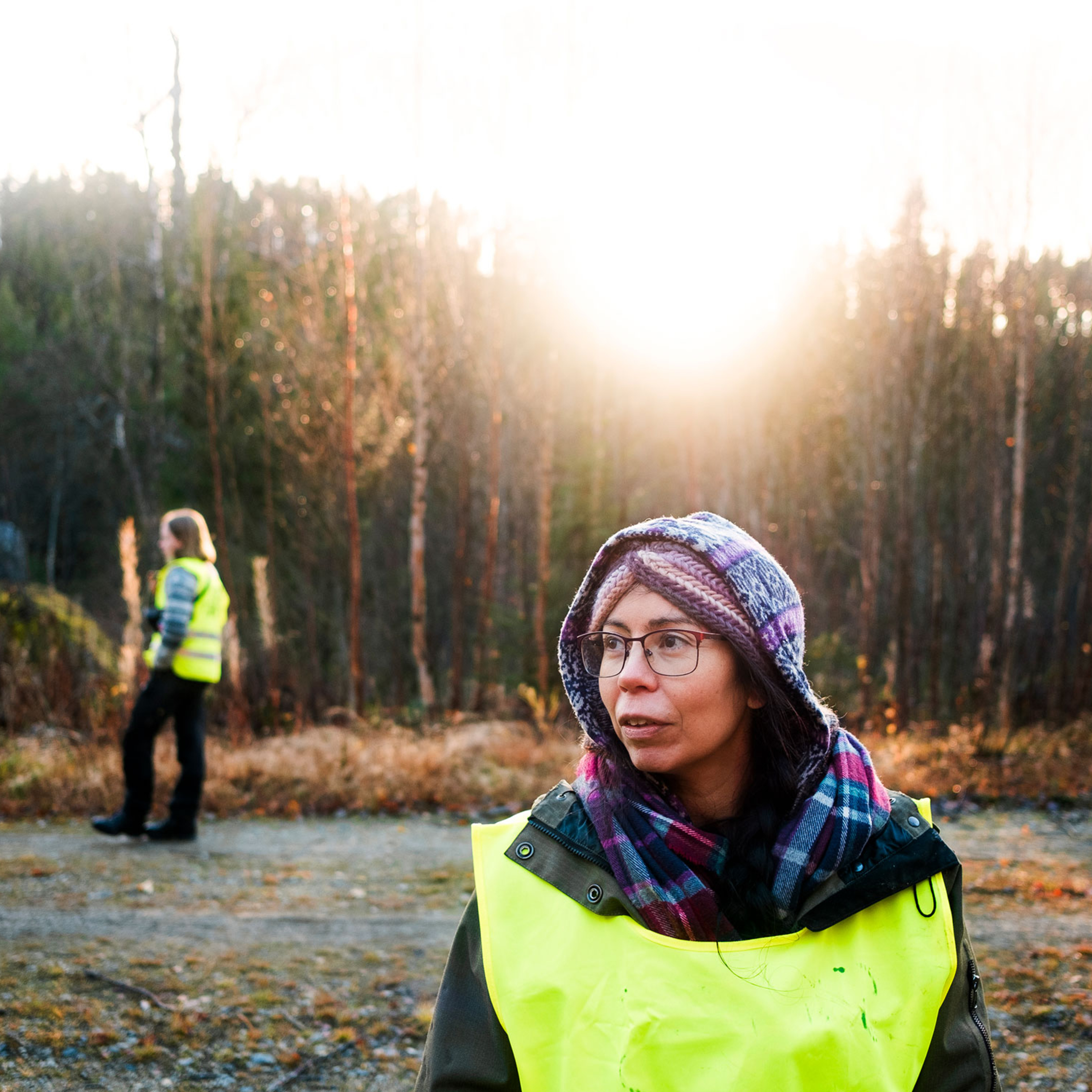 Så stoppade aktivister 33 hektar skog från att avverkas episode artwork