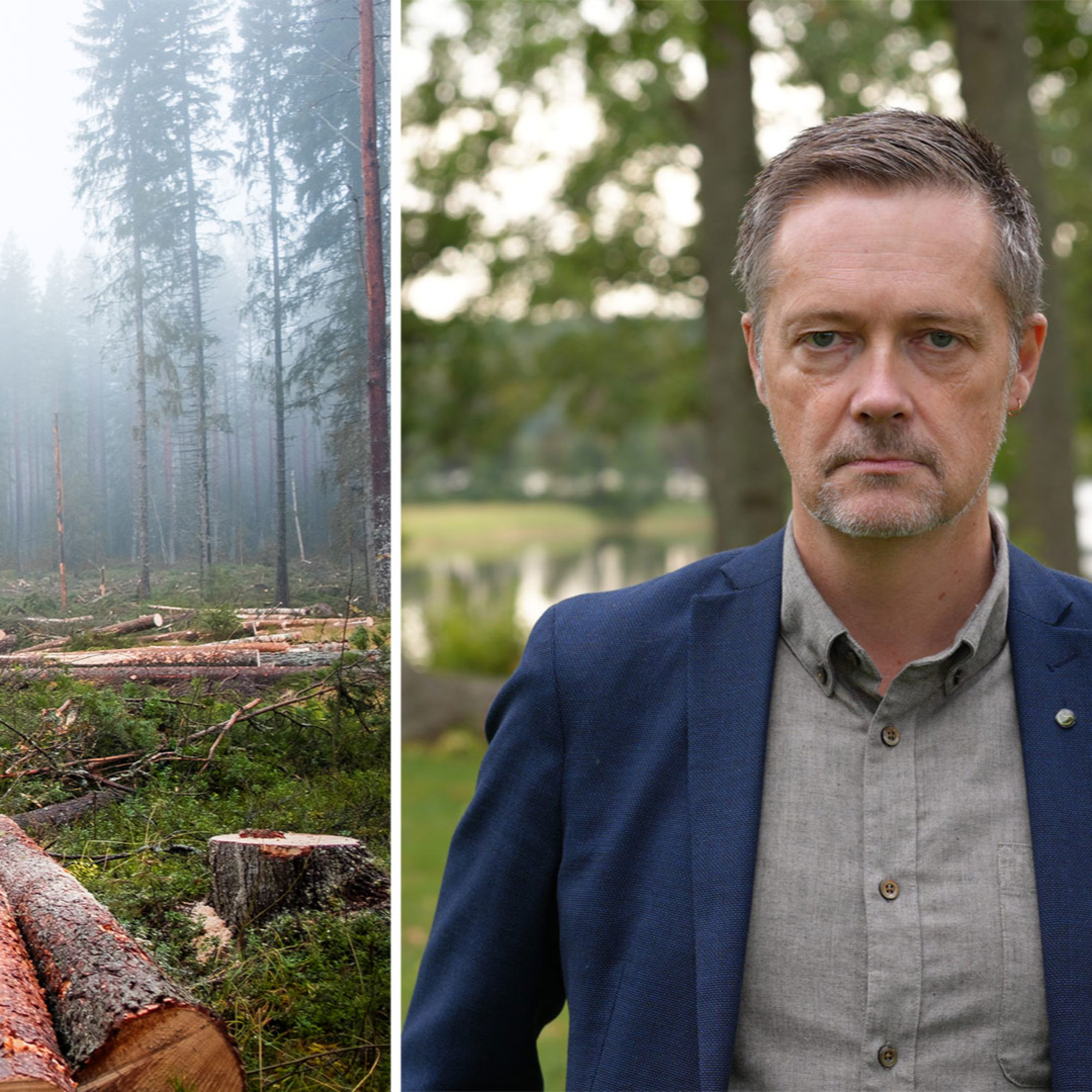 GS-facket till skogsaktivisterna: ”Sluta jävlas med våra medlemmar” episode artwork