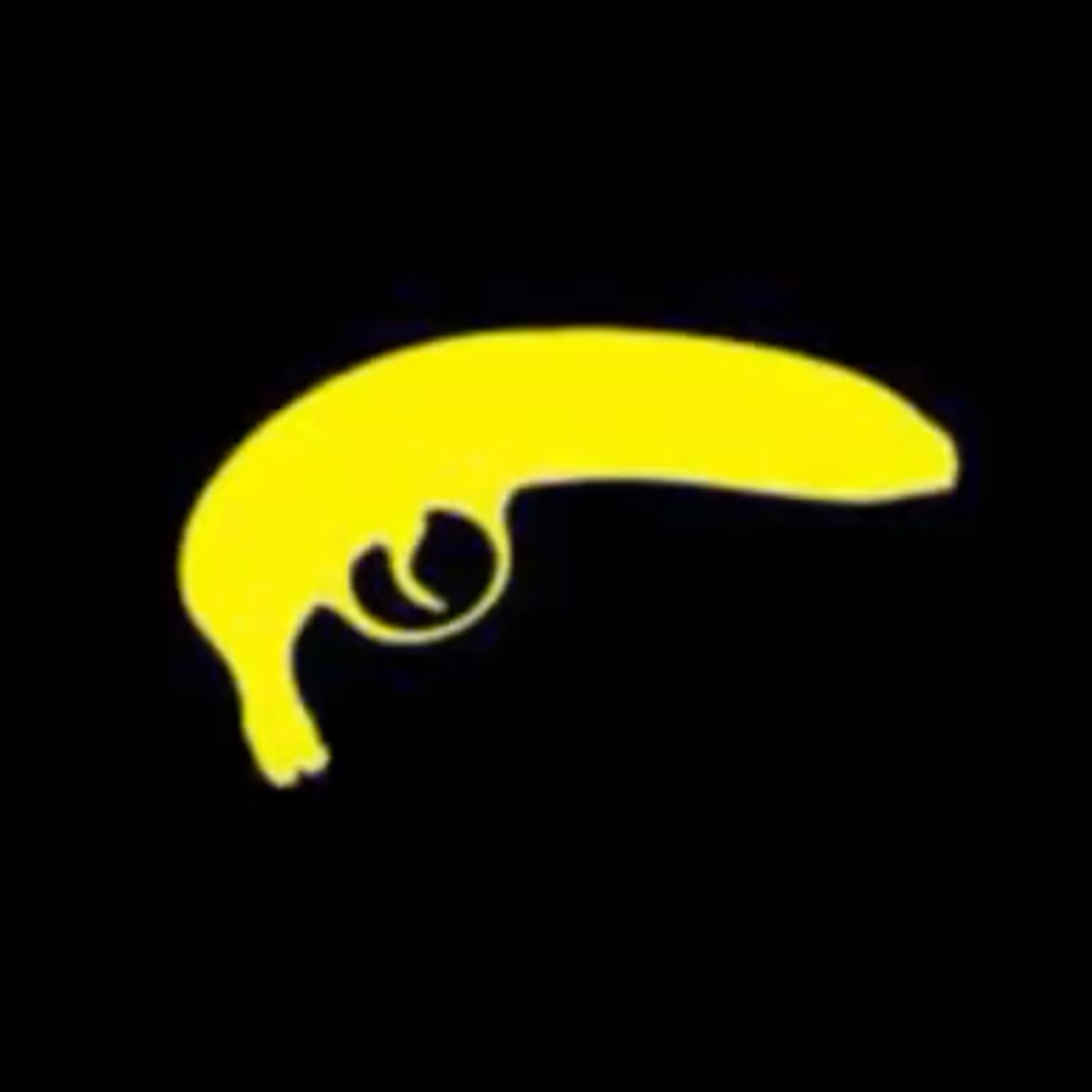 Bands You\'ve Never Heard Of