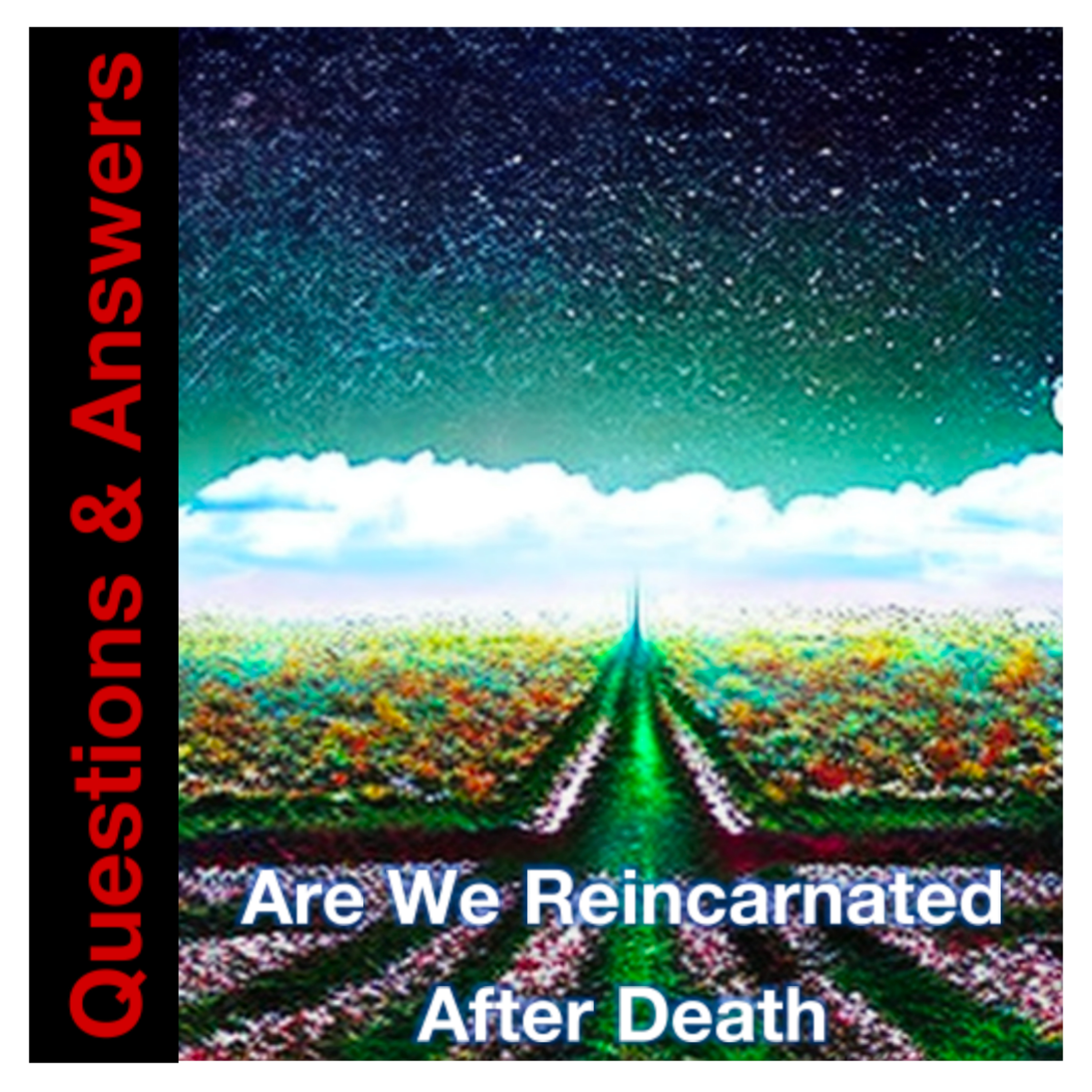 Bible Written - Are We Reincarnated After Death ? episode artwork