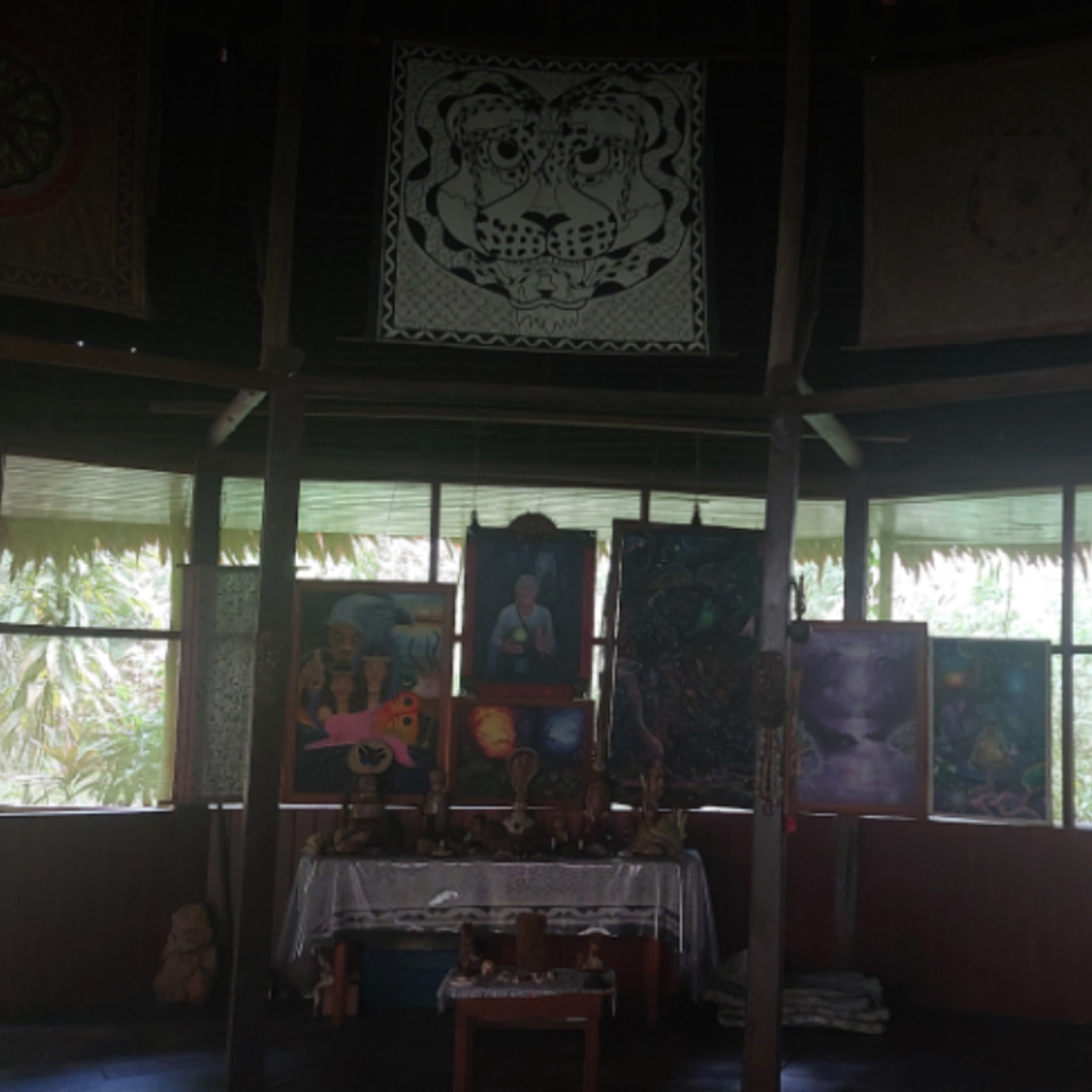 Ayahuasca i Amazonas junglen episode artwork