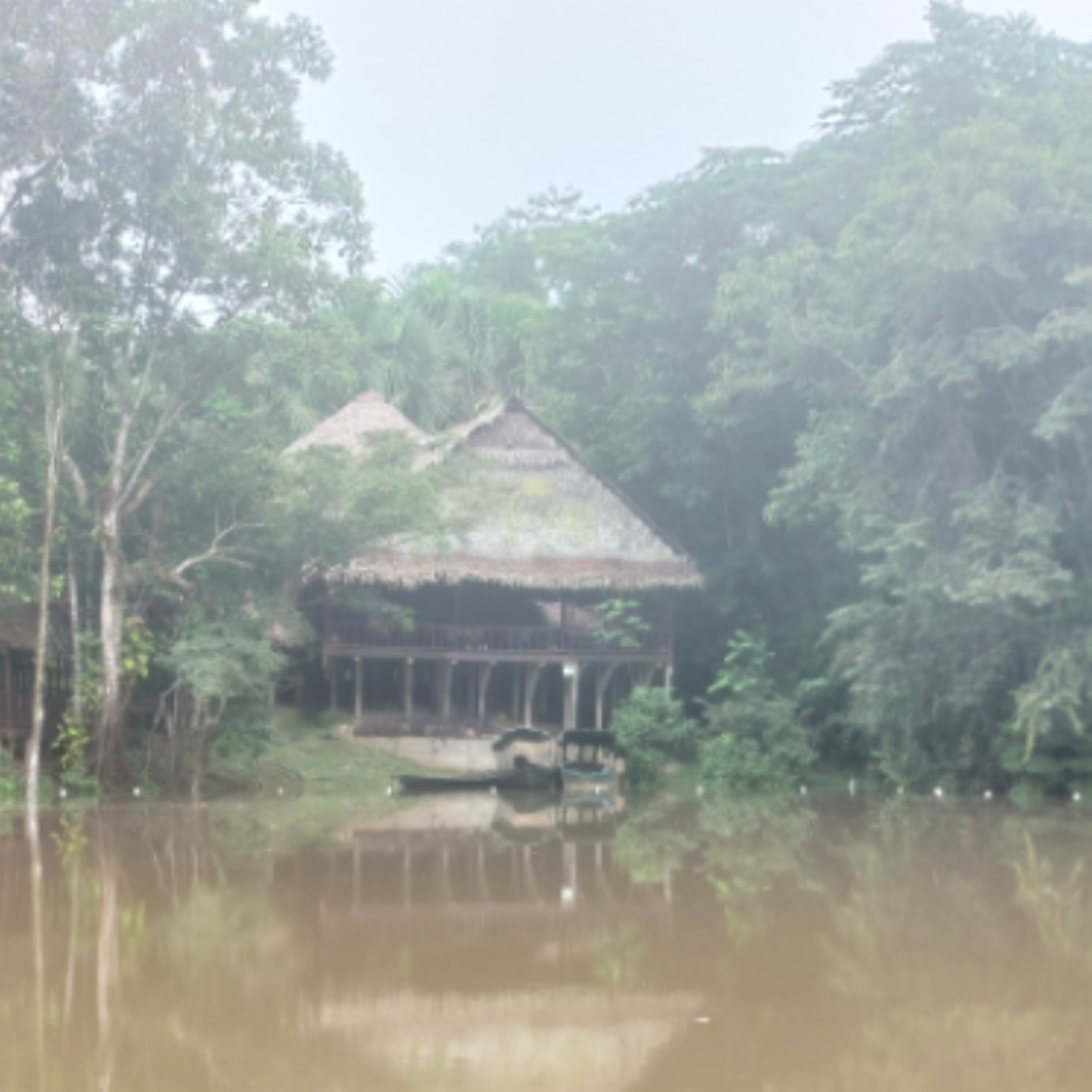 Terapi i junglen episode artwork