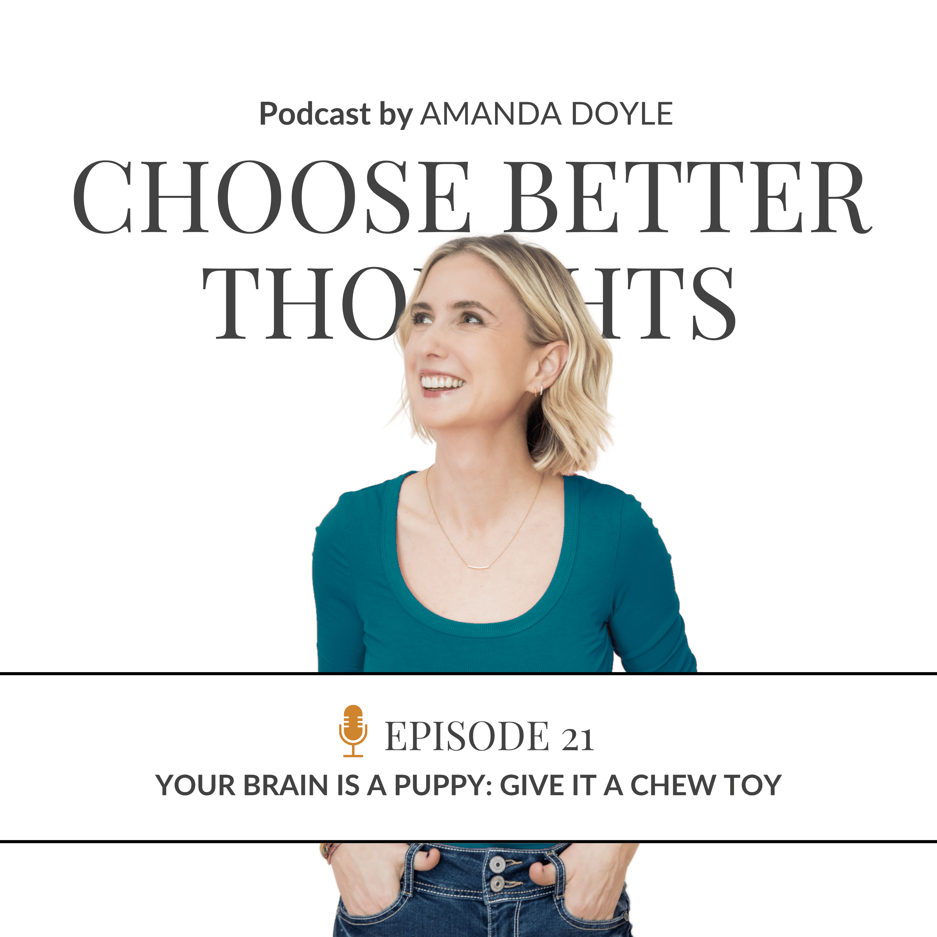 Your Brain Is a Puppy: Give It a Chew Toy episode artwork