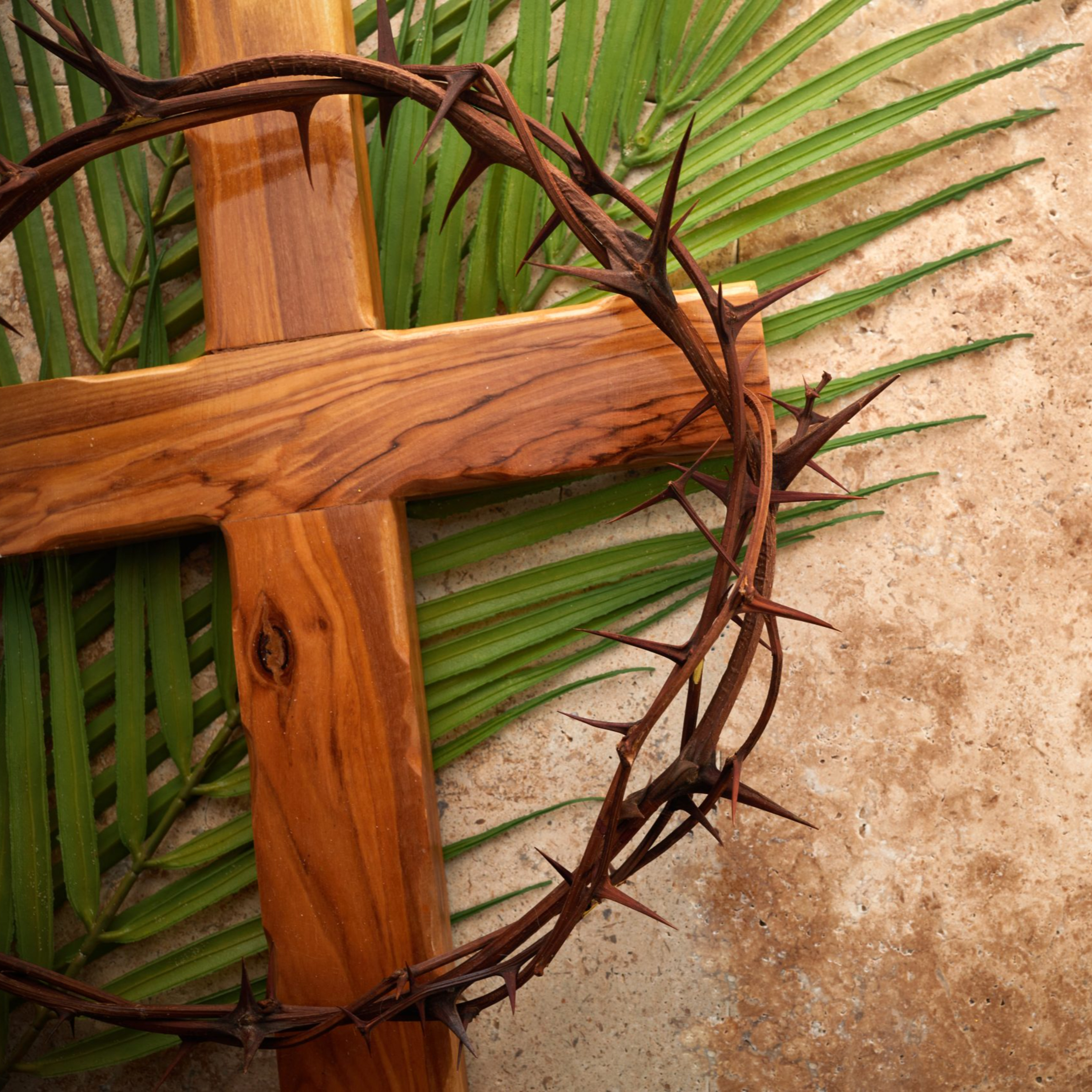 Welcome One Another As Christ Has Welcomed You-Romans 15:1-7 episode artwork