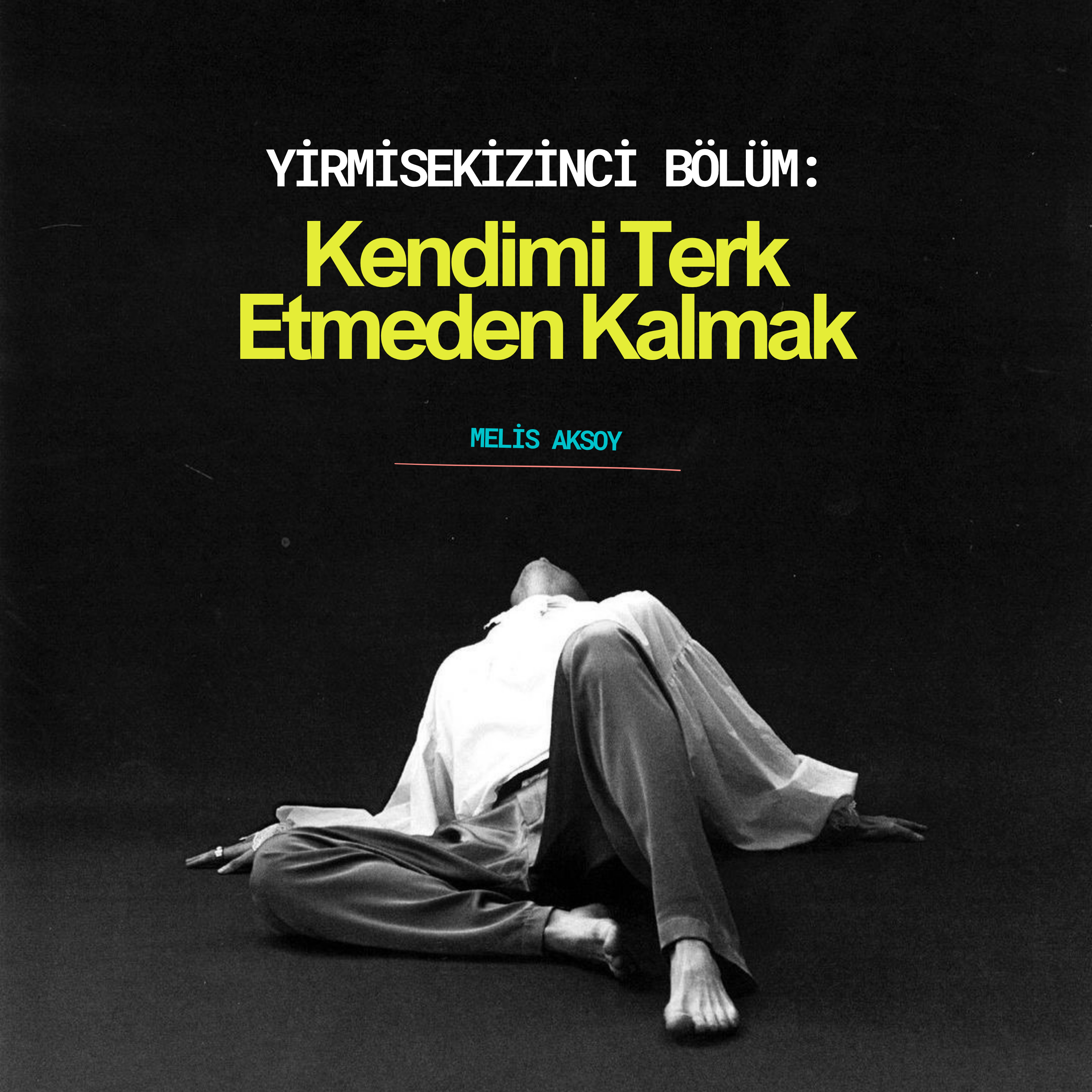 Kendimi Terk Etmeden Kalmak episode artwork