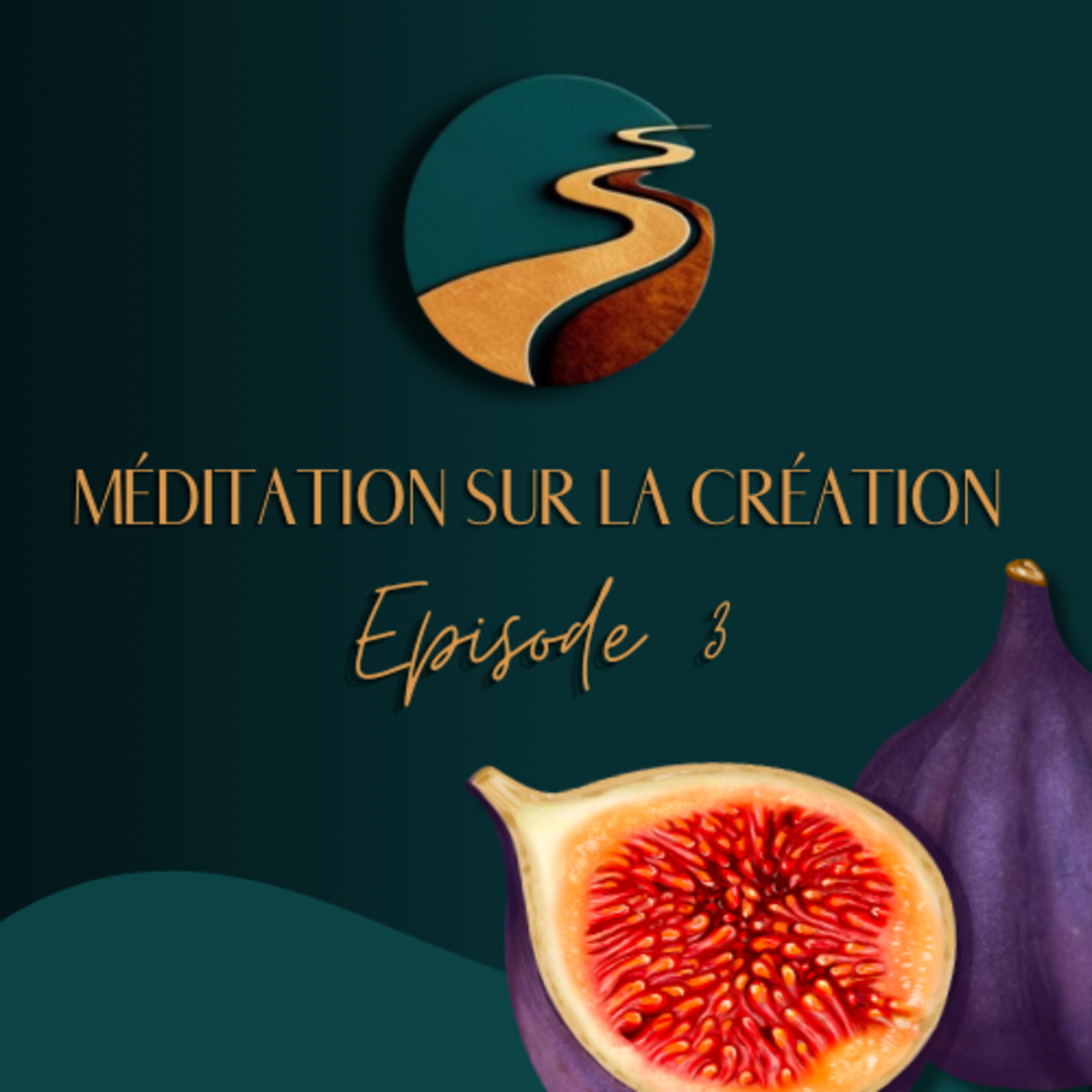 L'arc en ciel des fruits et légumes 🥑- Méditation sur la Création (Episode 3)