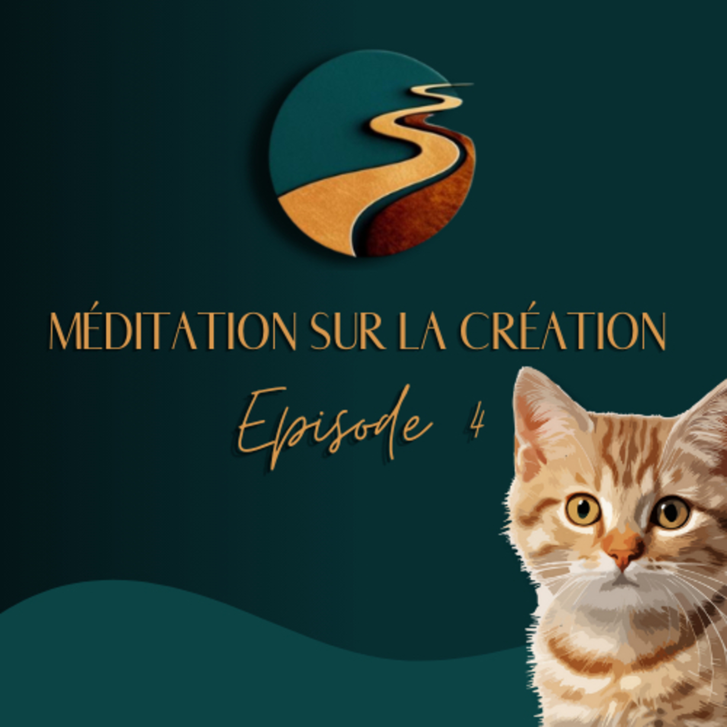 Ce que les animaux nous enseignent 🦅- Méditation sur la Création (Episode 4)
