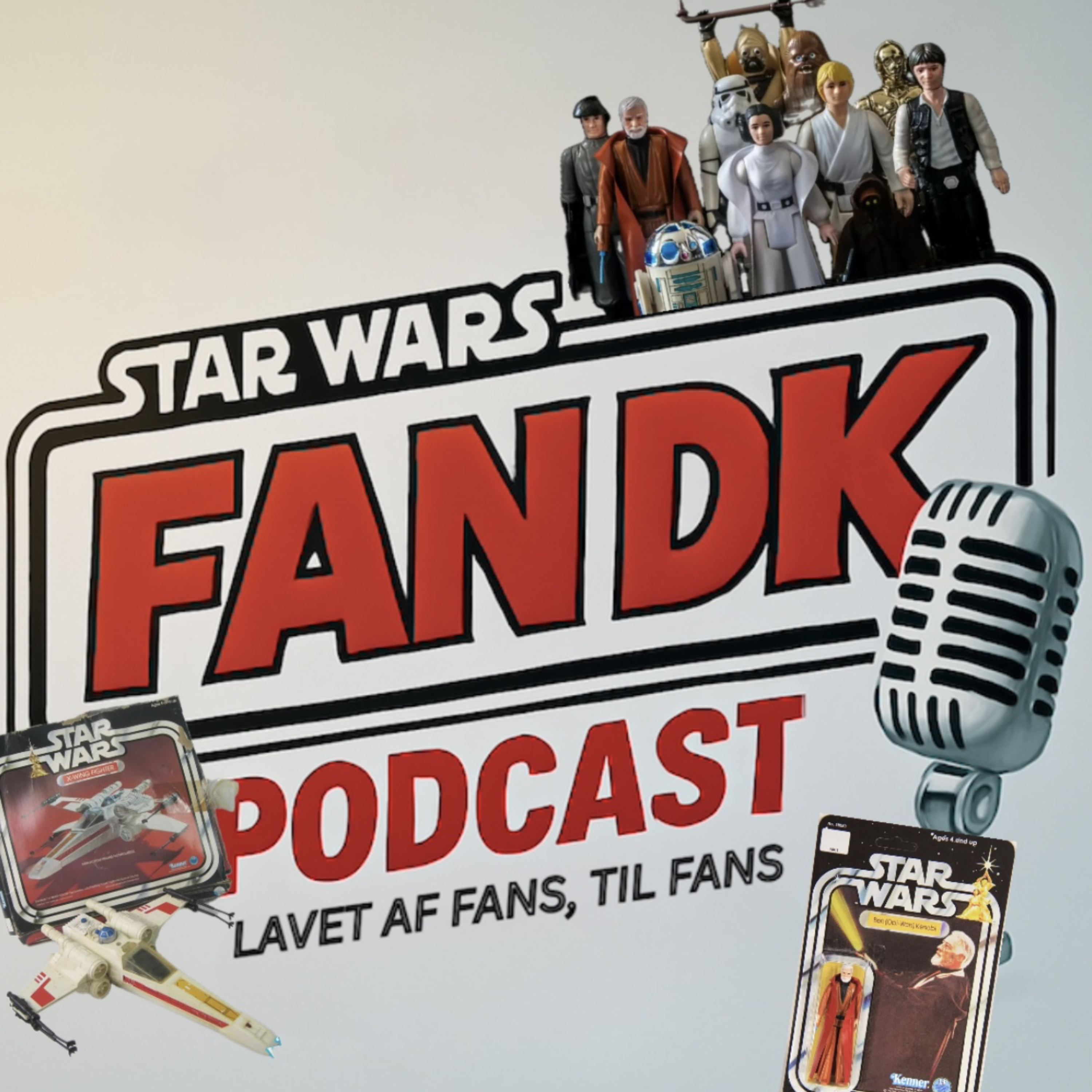 Star Wars Fan DK