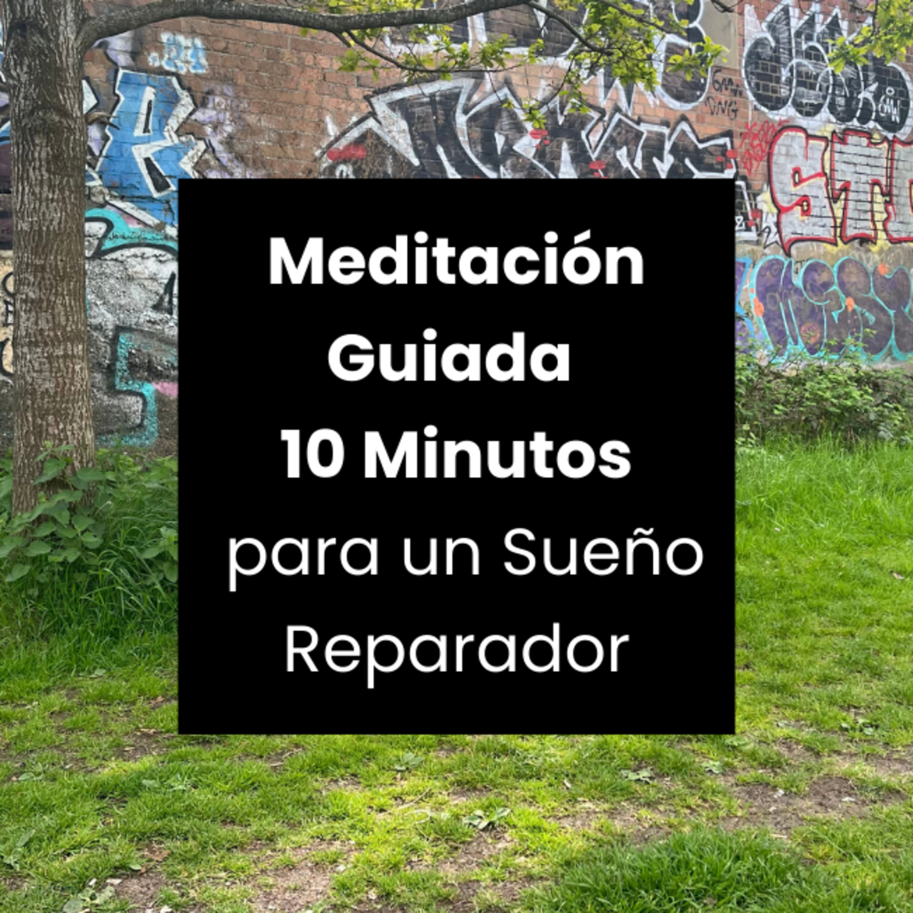Meditaciónes Guiadas - Encuentra Calma y Claridad en 10 Minutos