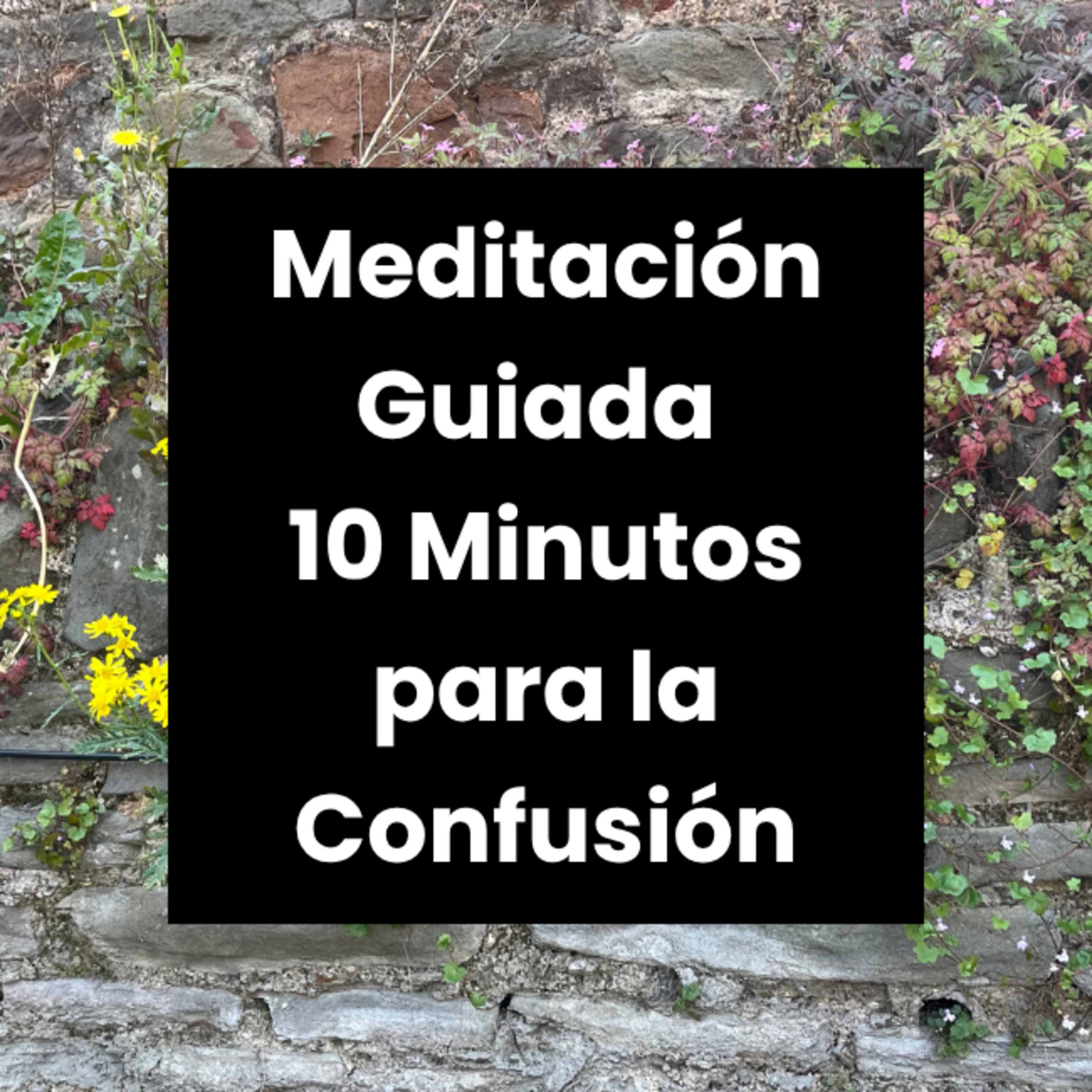 Meditaciónes Guiadas - Encuentra Calma y Claridad en 10 Minutos