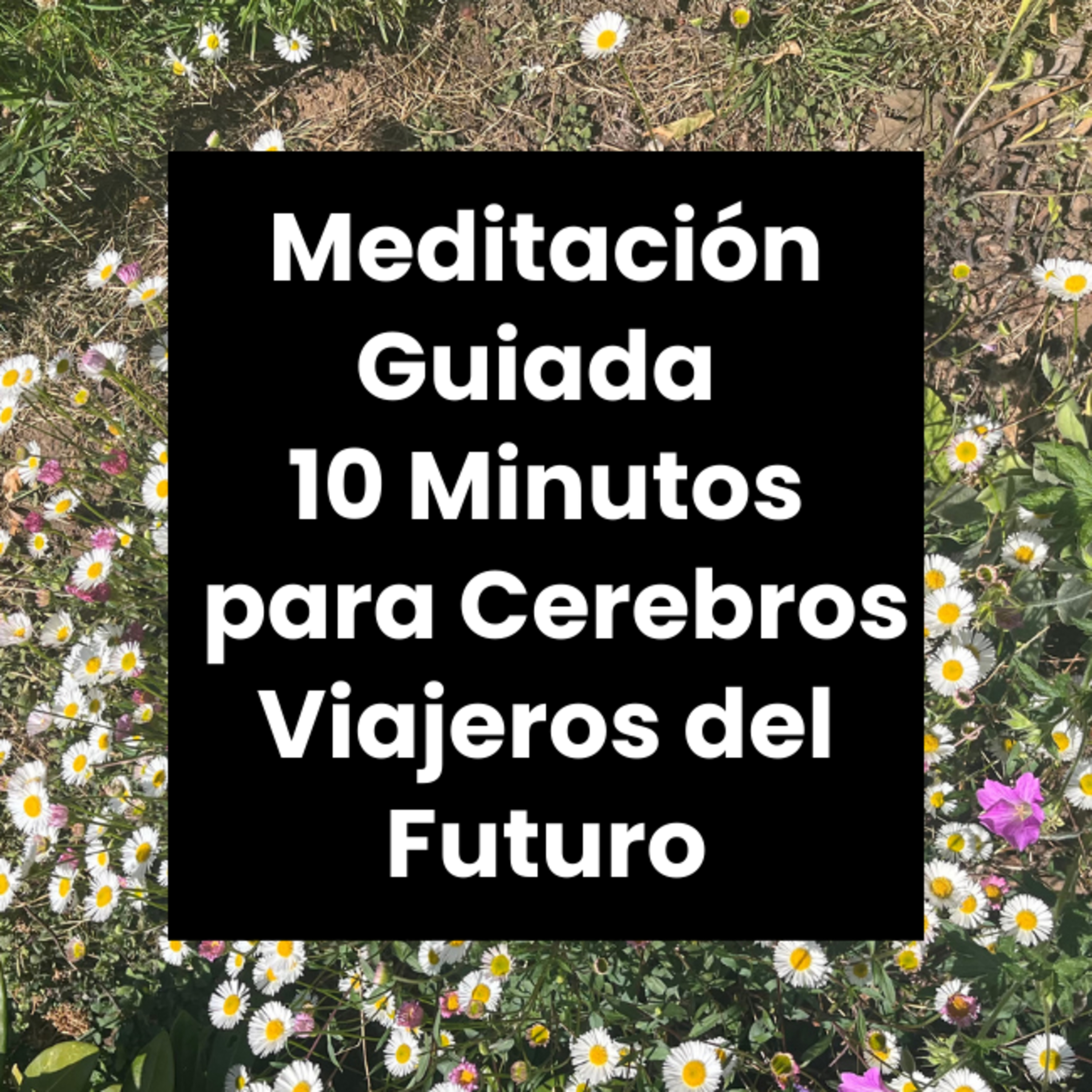 Meditaciónes Guiadas - Encuentra Calma y Claridad en 10 Minutos