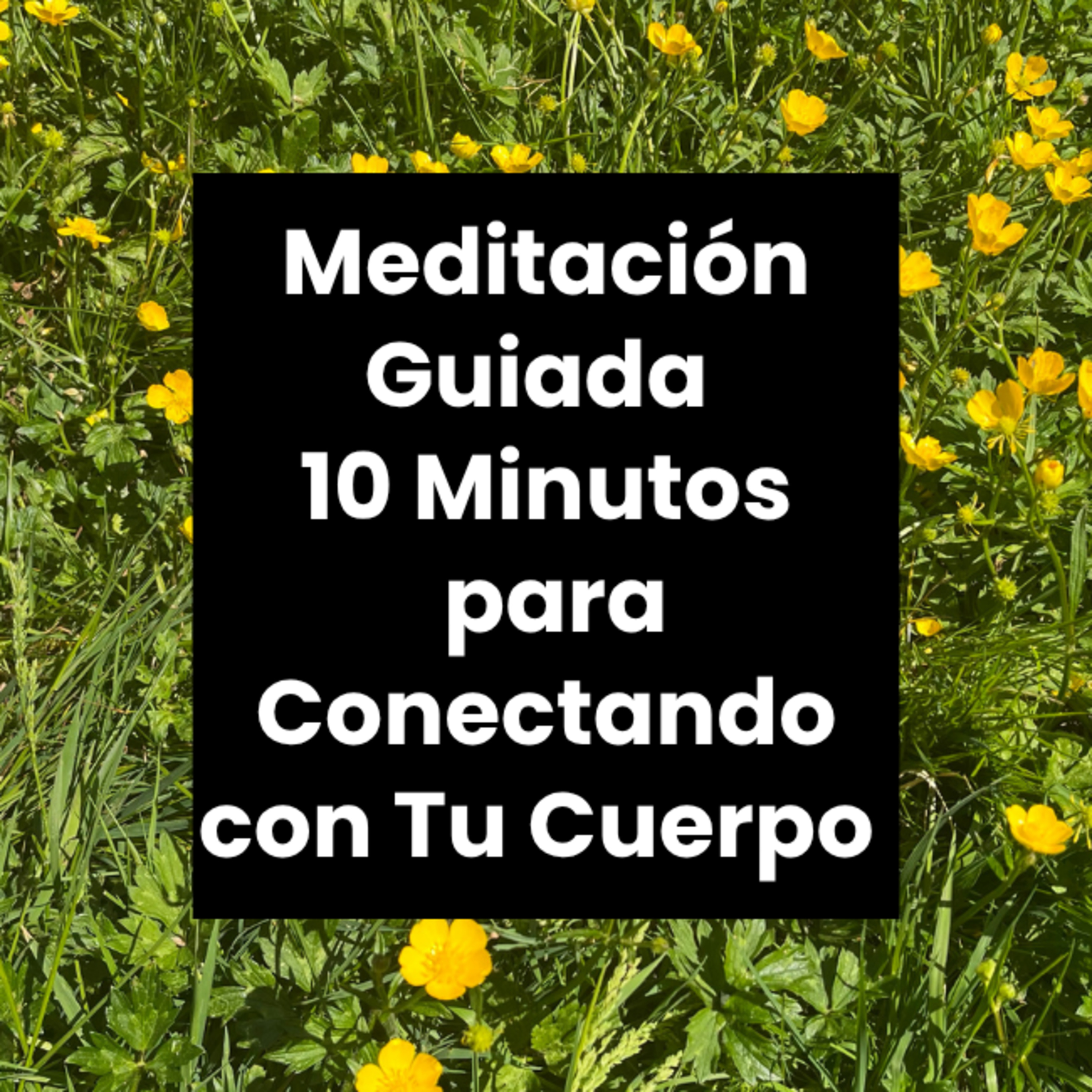Meditaciónes Guiadas - Encuentra Calma y Claridad en 10 Minutos