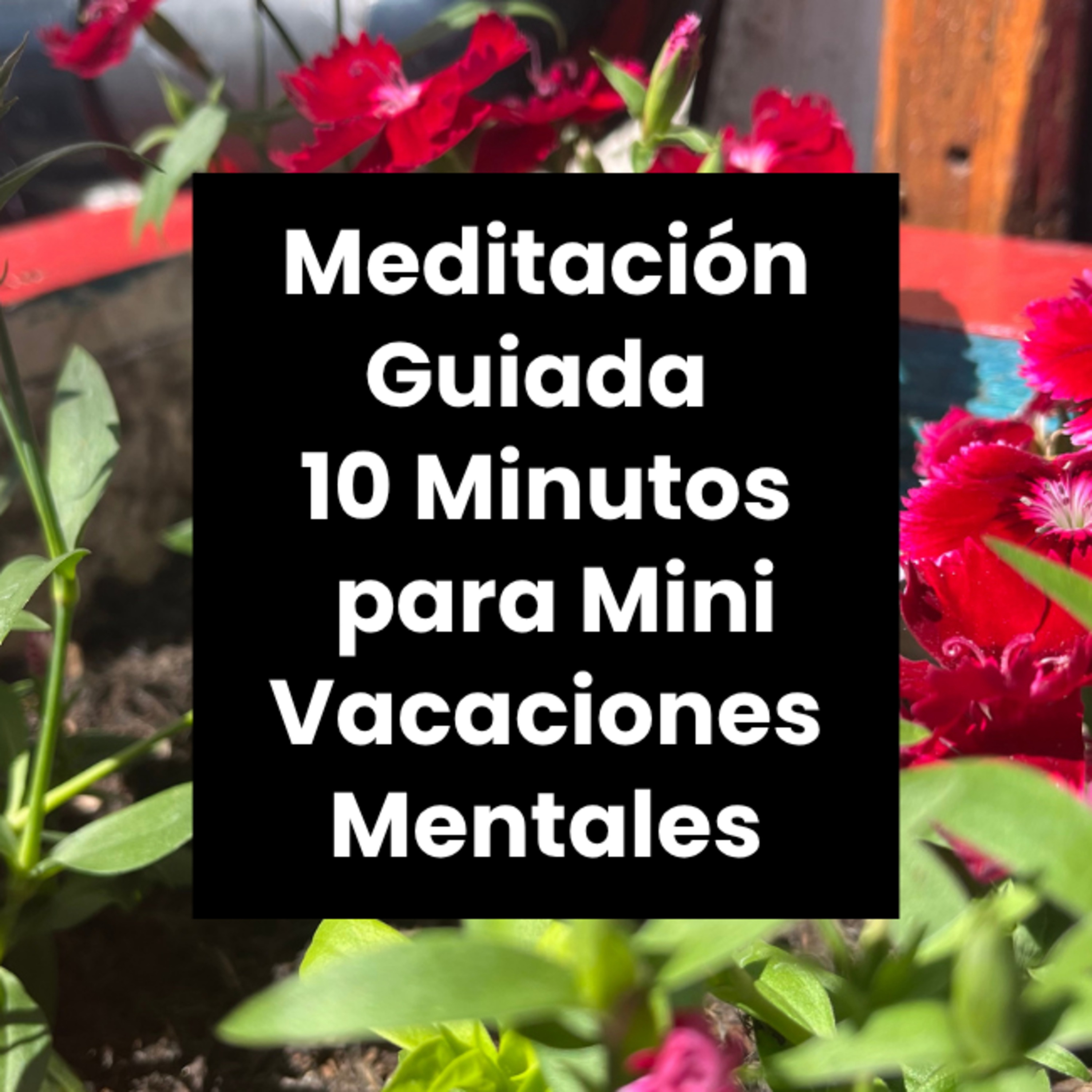 Meditaciónes Guiadas - Encuentra Calma y Claridad en 10 Minutos