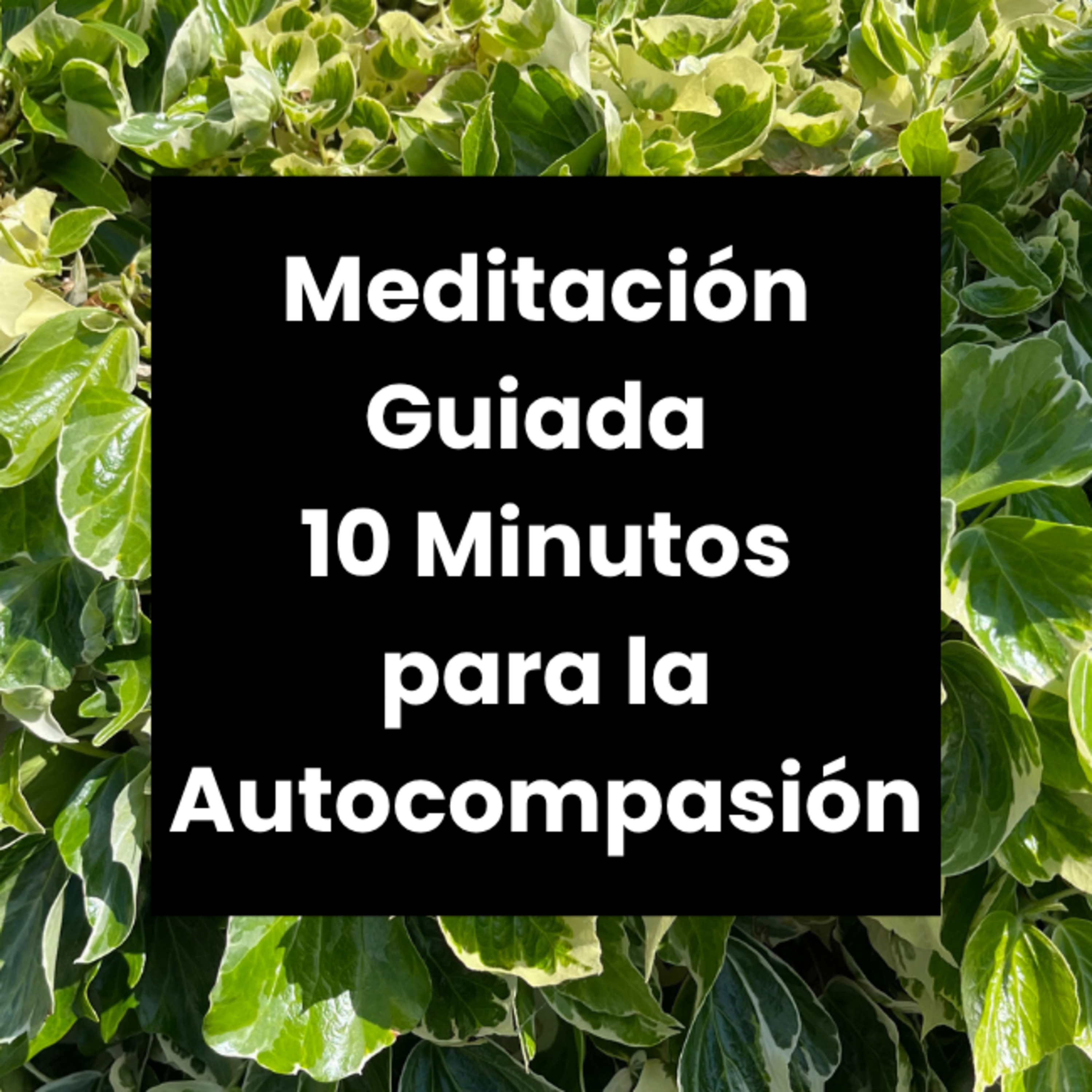 Meditaciónes Guiadas - Encuentra Calma y Claridad en 10 Minutos