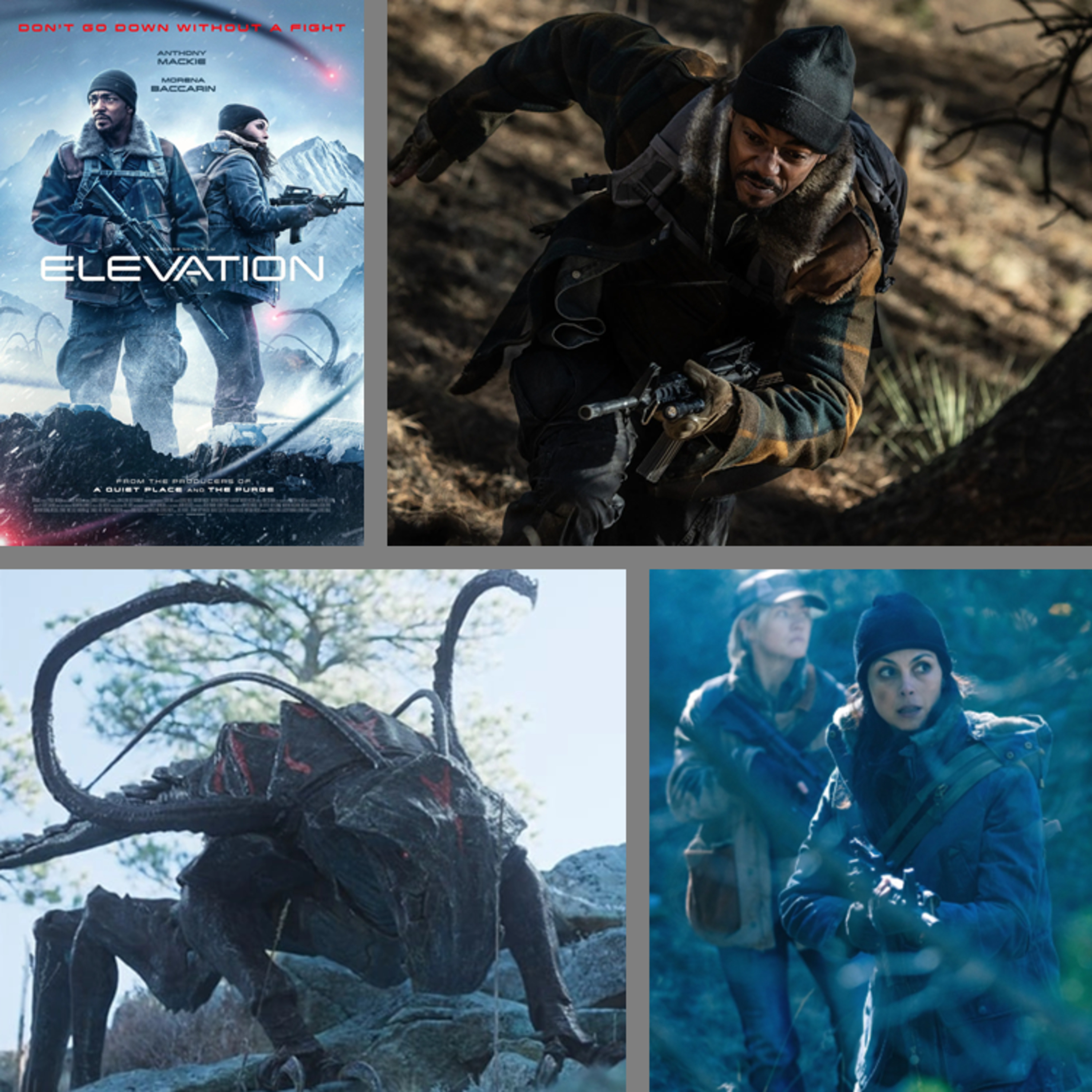A Darkish Cinema Podcast
