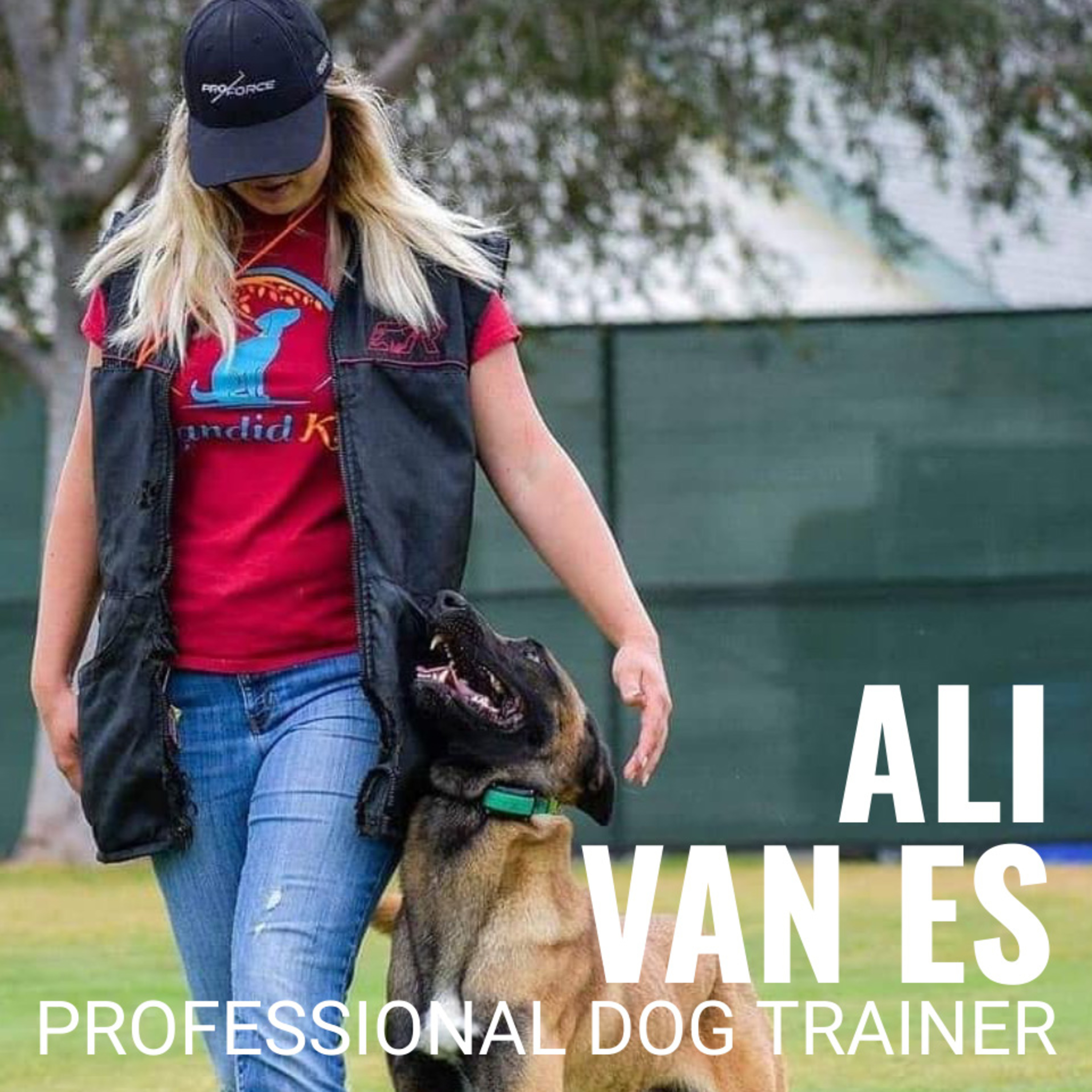 Nate Schoemer Dog Training Podcast