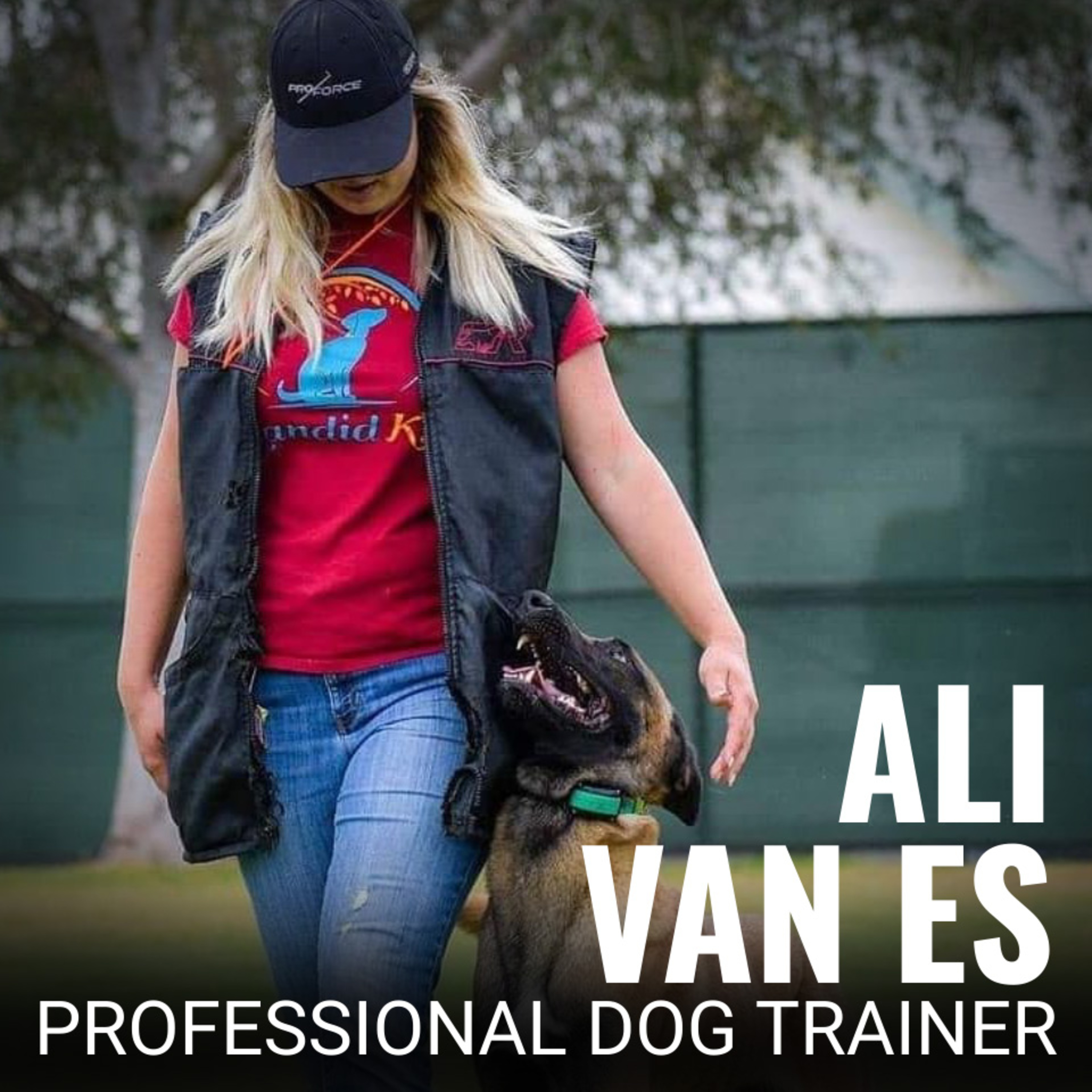 Nate Schoemer Dog Training Podcast