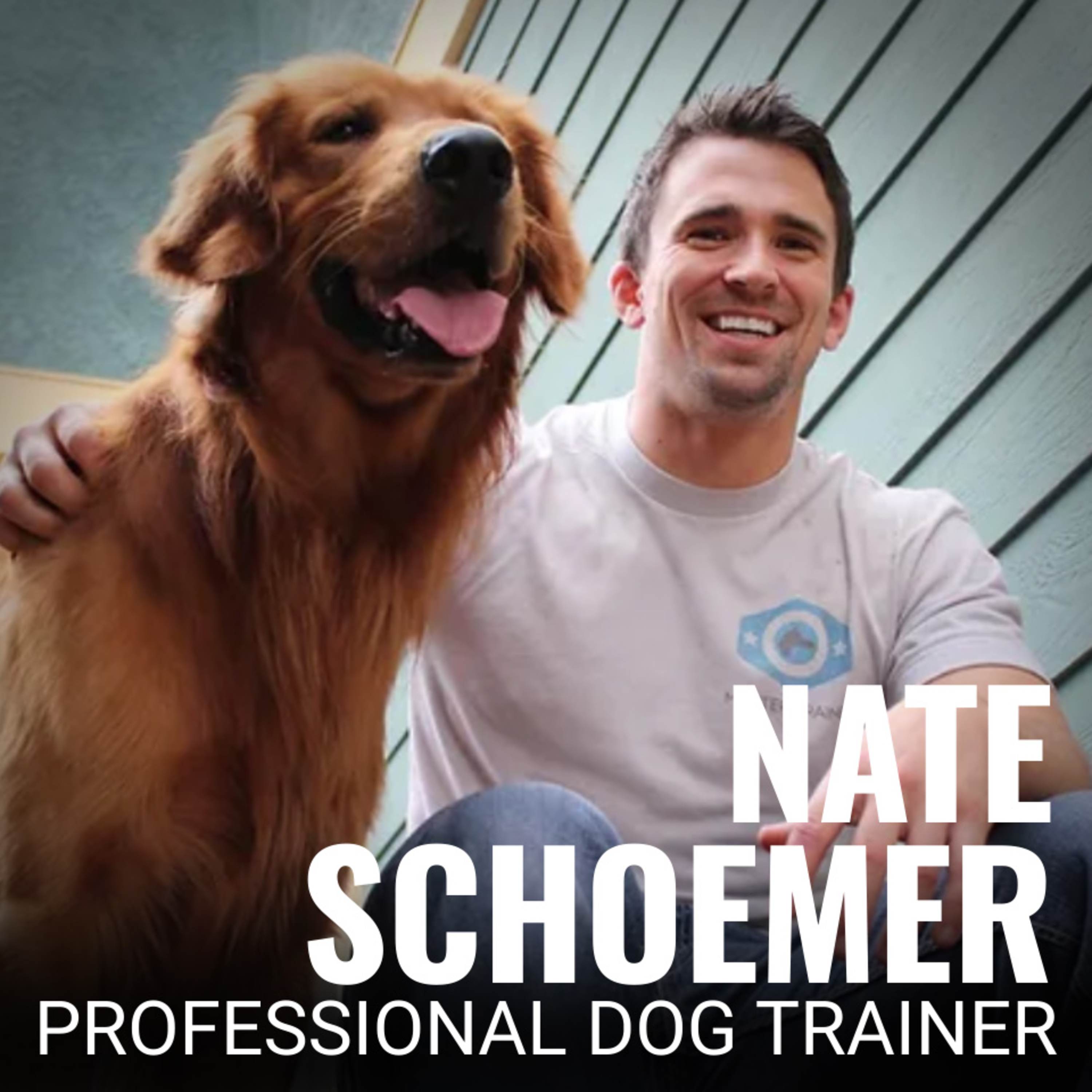 Nate Schoemer Dog Training Podcast