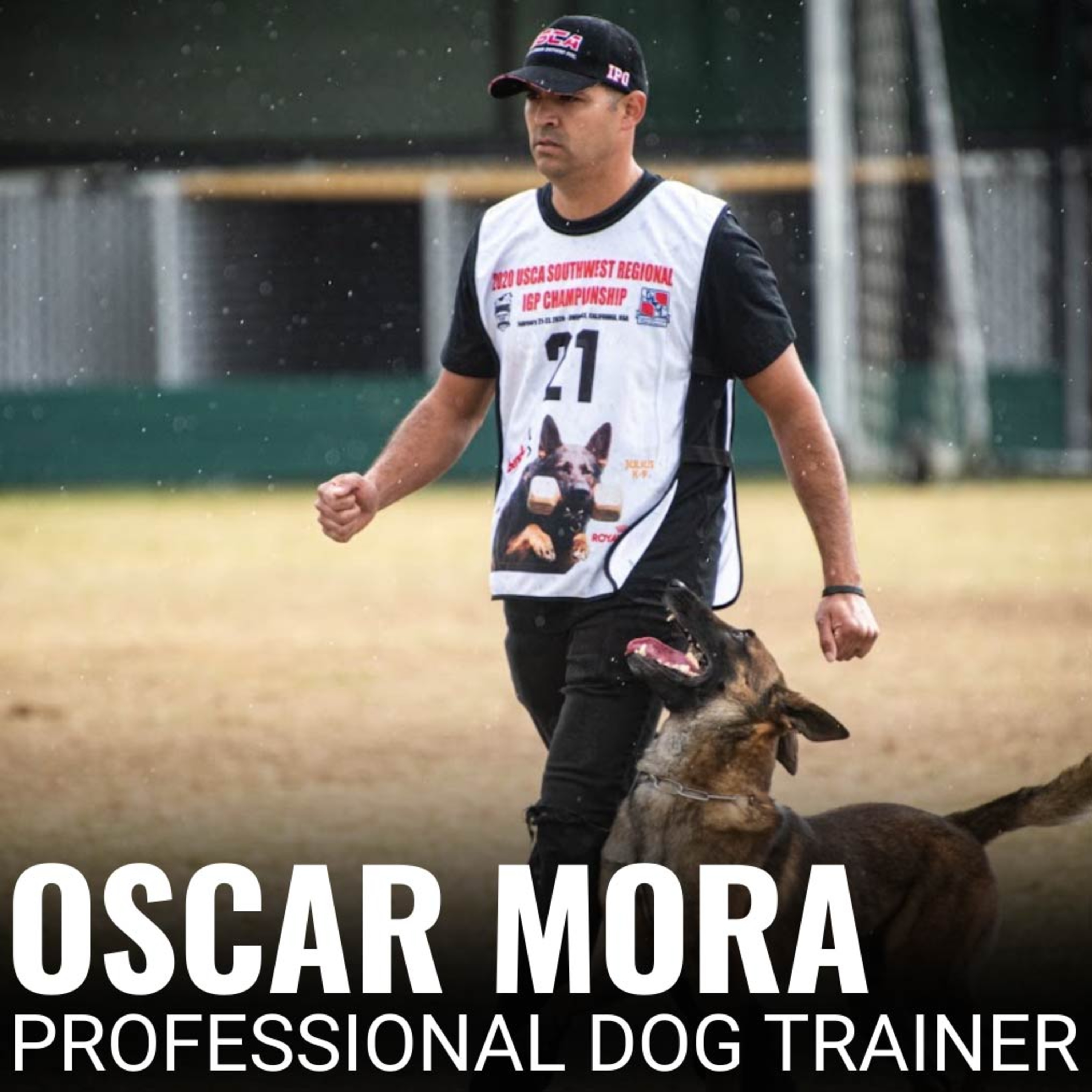 Nate Schoemer Dog Training Podcast