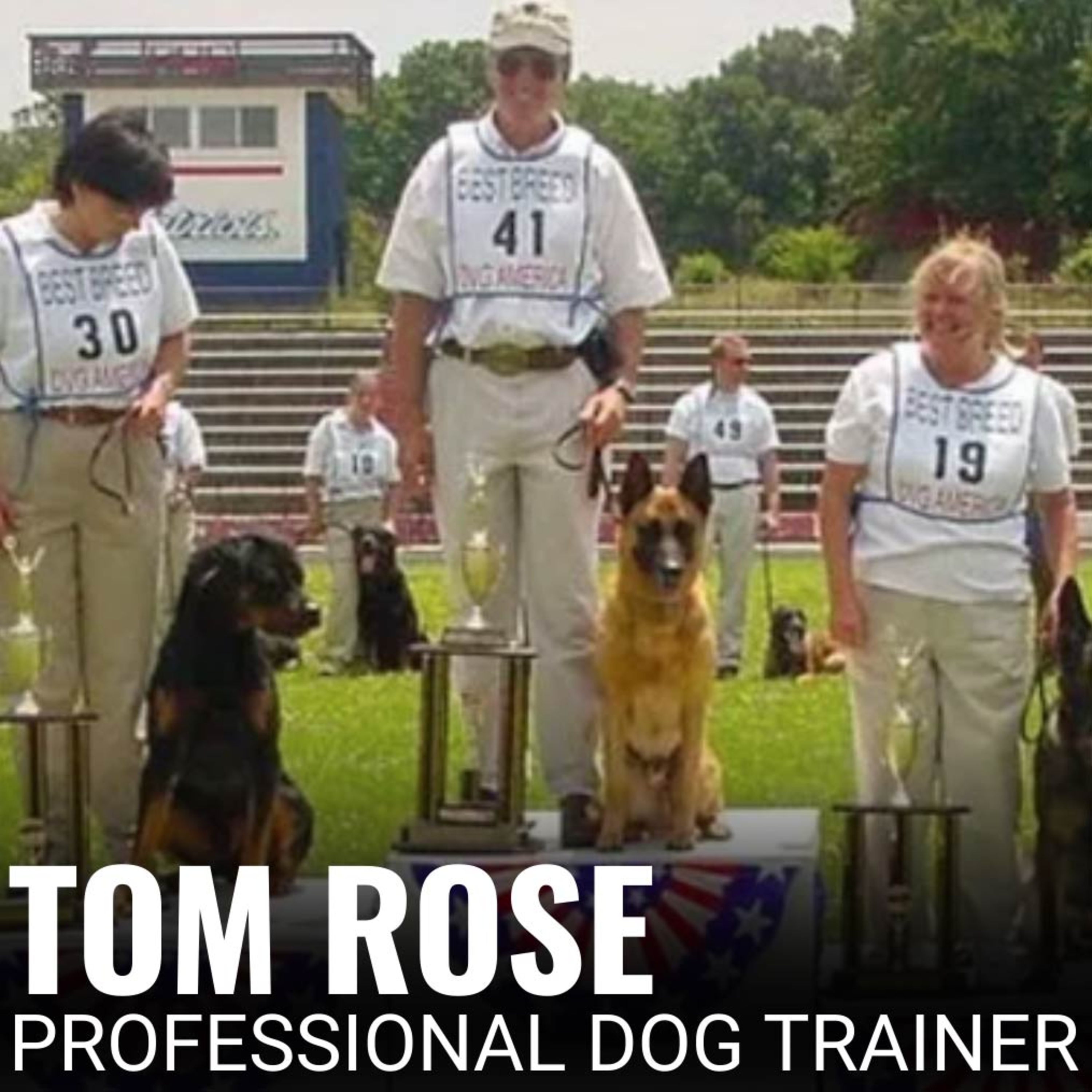 Nate Schoemer Dog Training Podcast