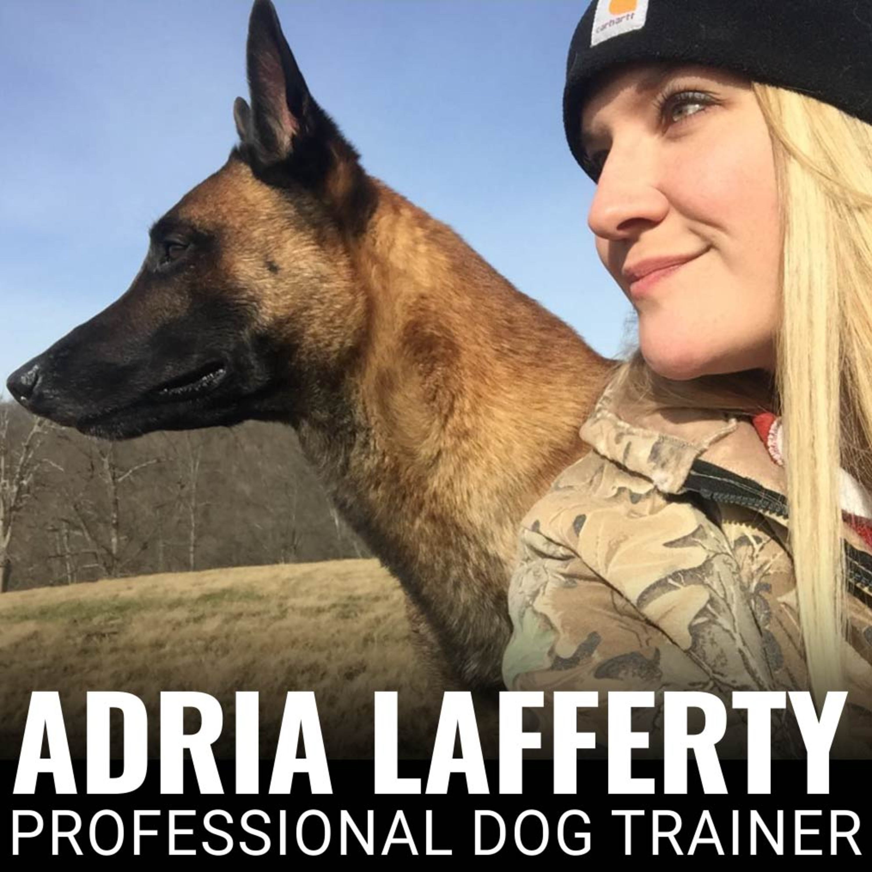 Nate Schoemer Dog Training Podcast