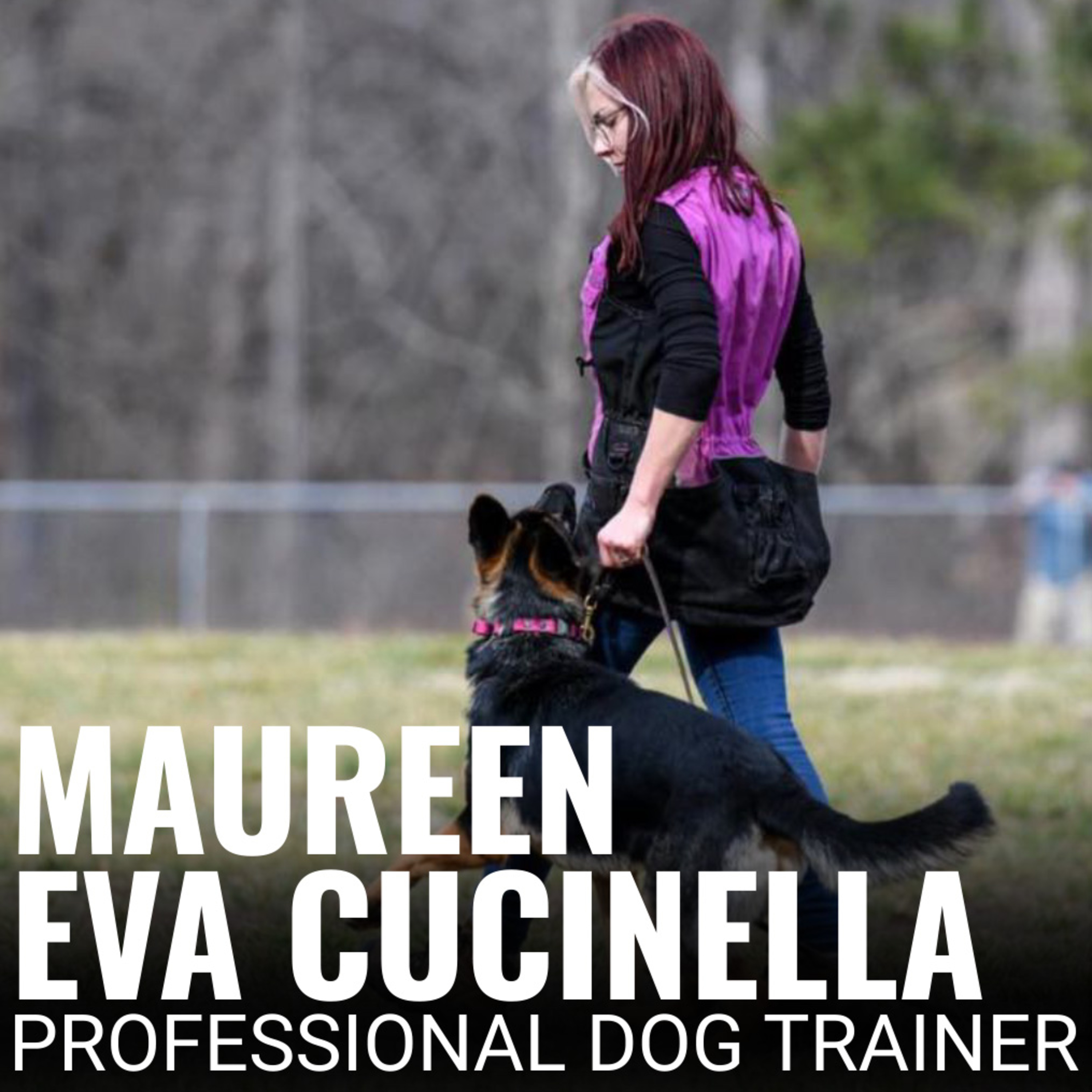 Nate Schoemer Dog Training Podcast