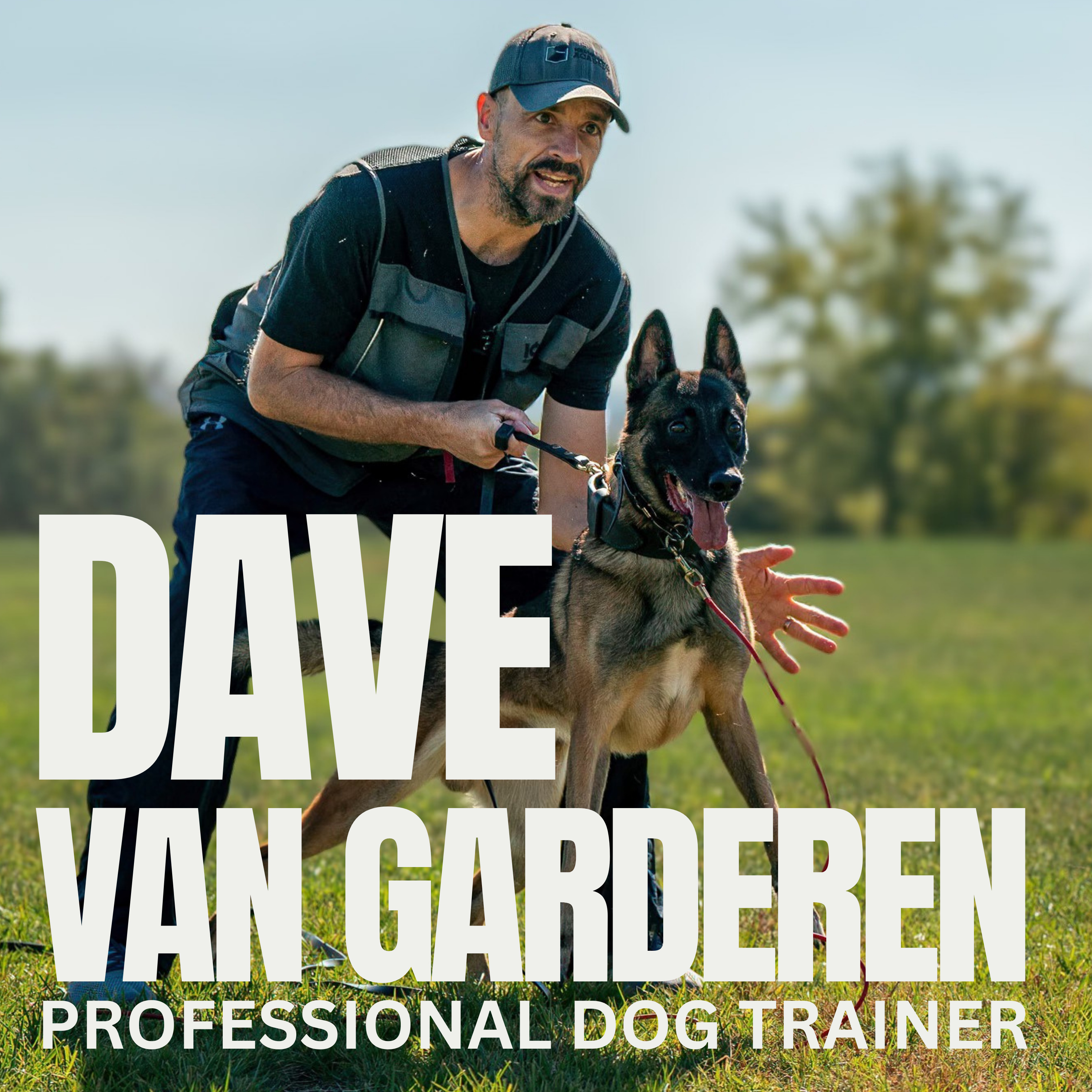 Nate Schoemer Dog Training Podcast