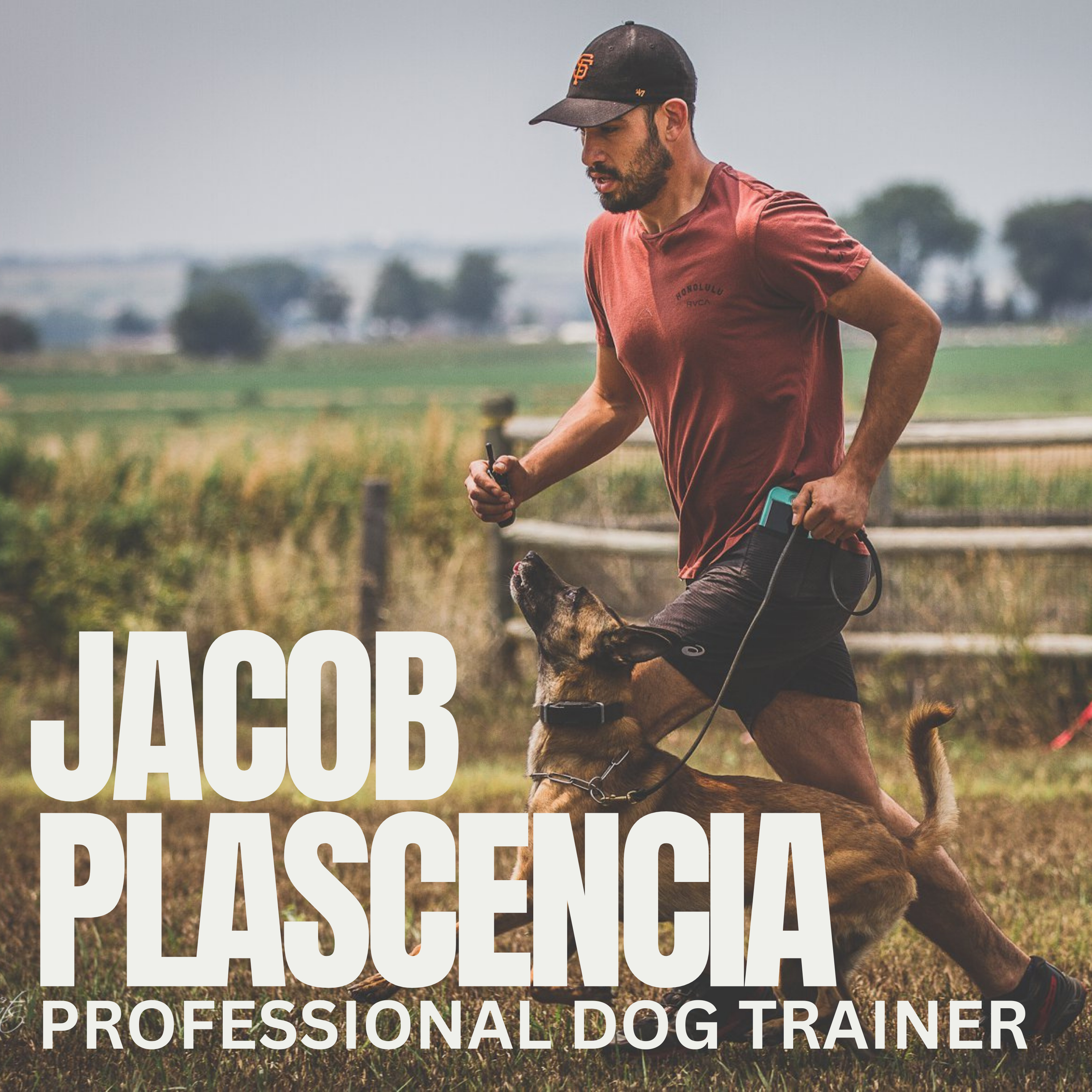 Nate Schoemer Dog Training Podcast