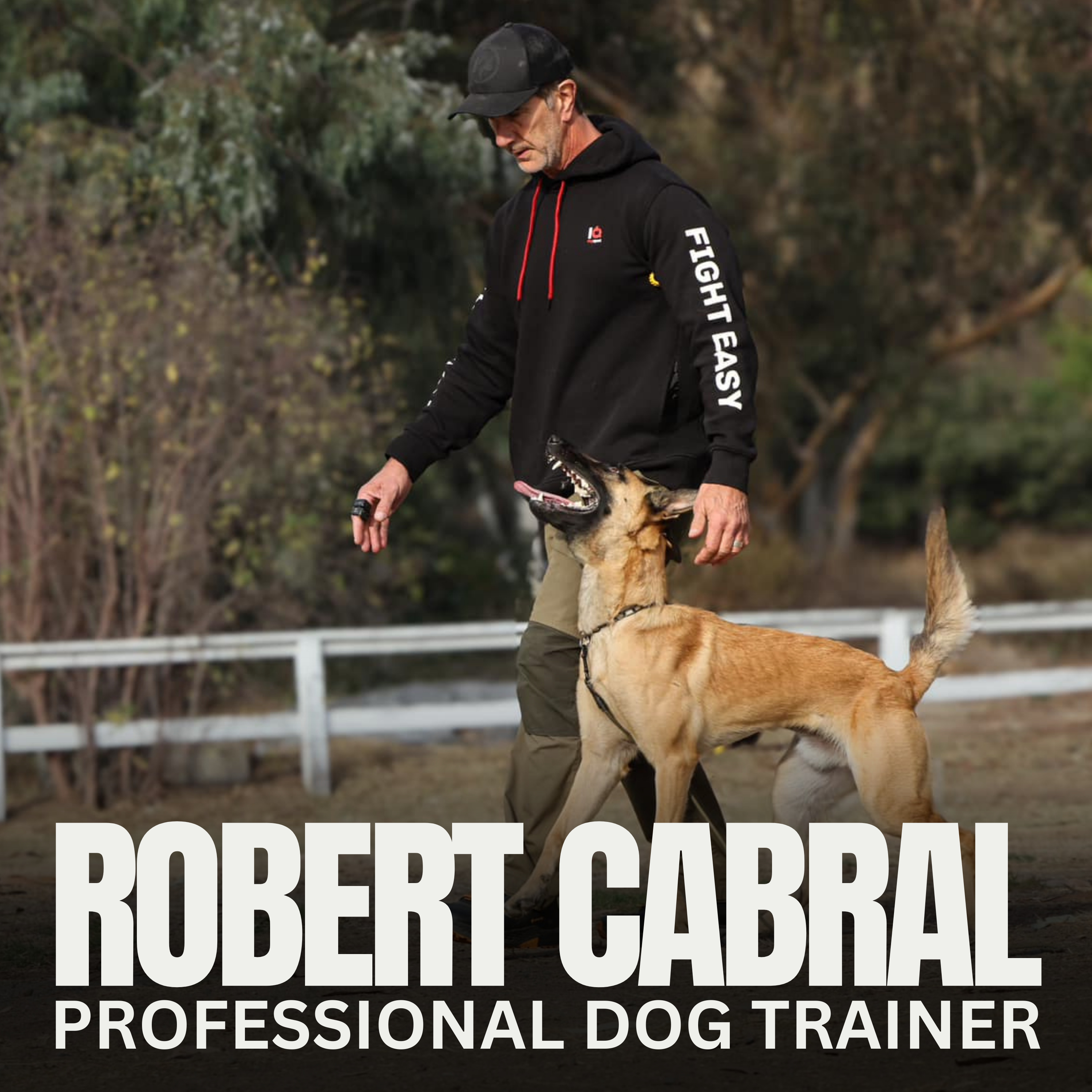 Nate Schoemer Dog Training Podcast